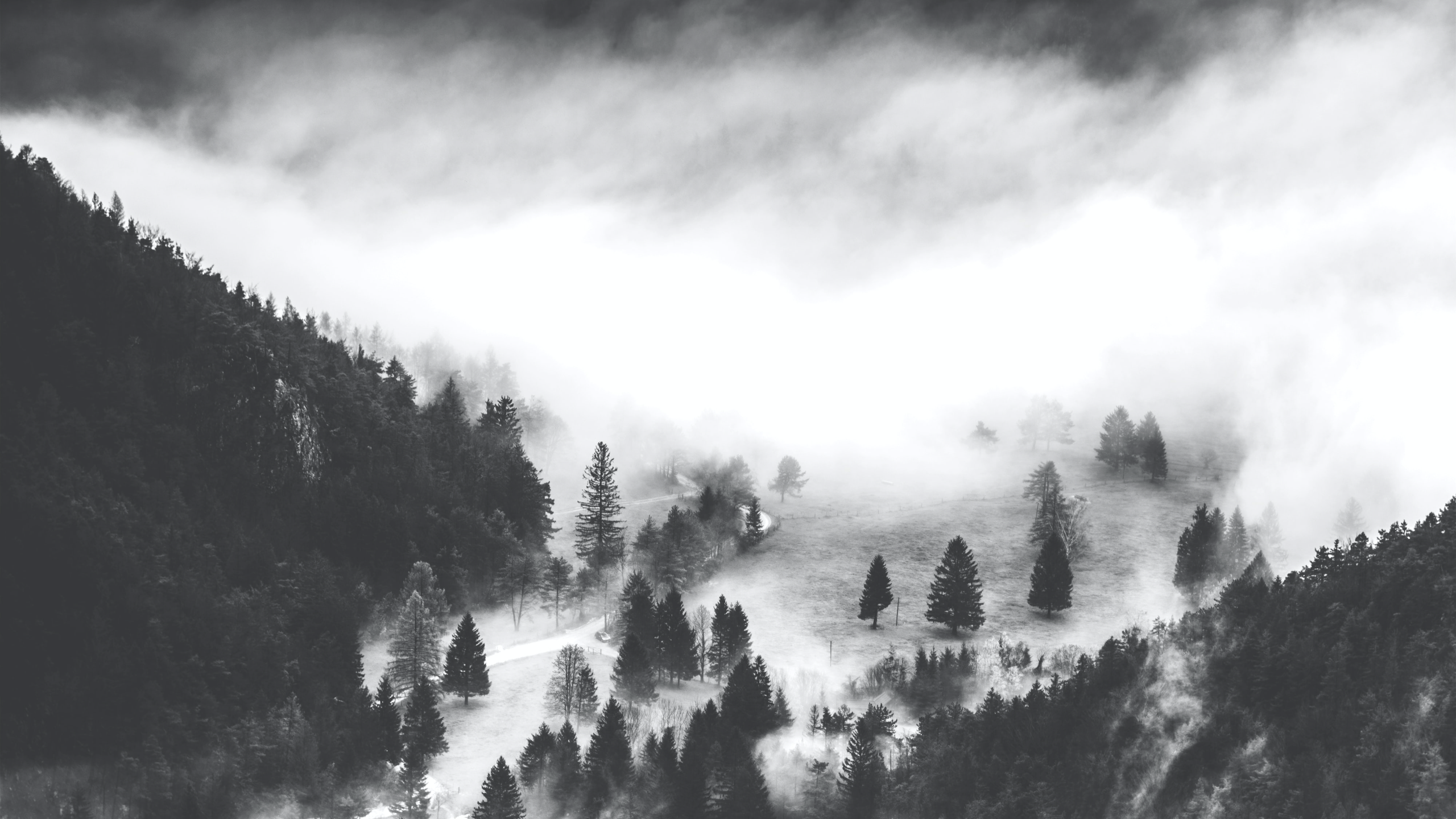 Nature Landscape Trees Mountains Forest Fog Monochrome 2560x1440