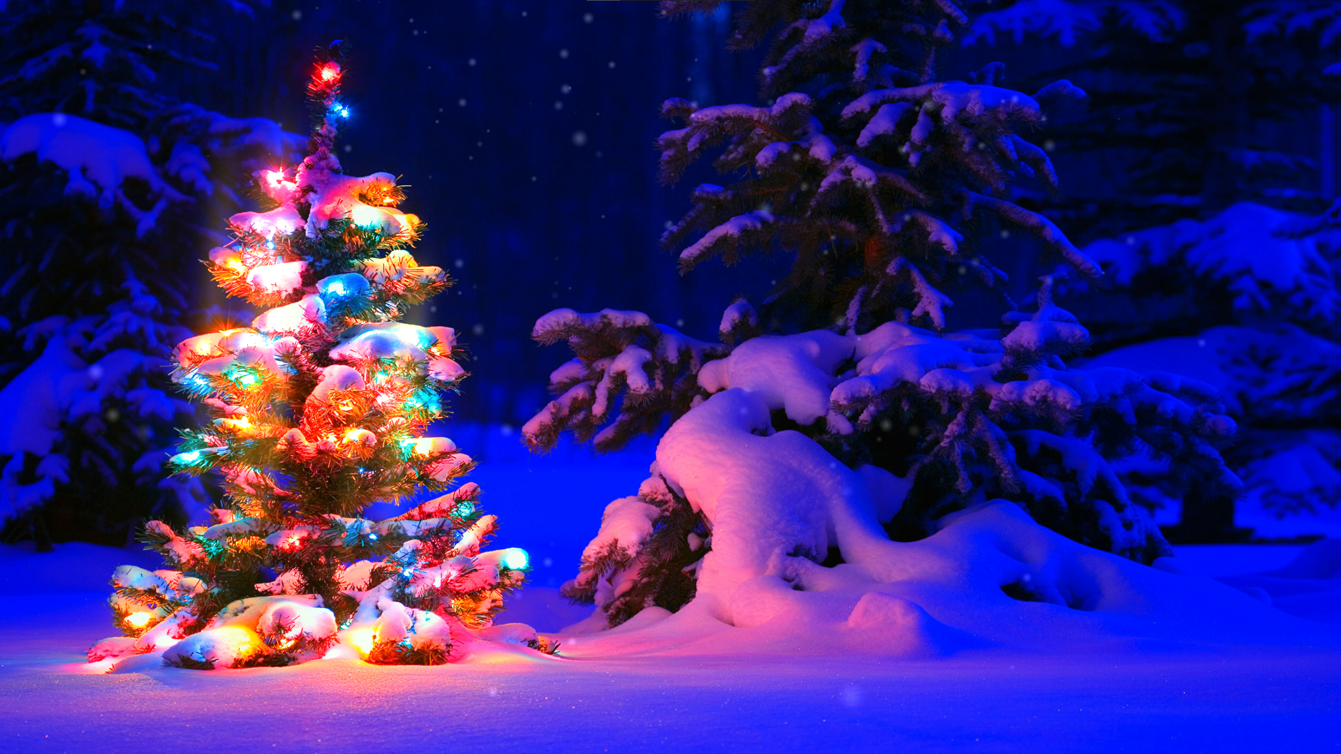 Christmas Christmas Tree Snow Night 1920x1080