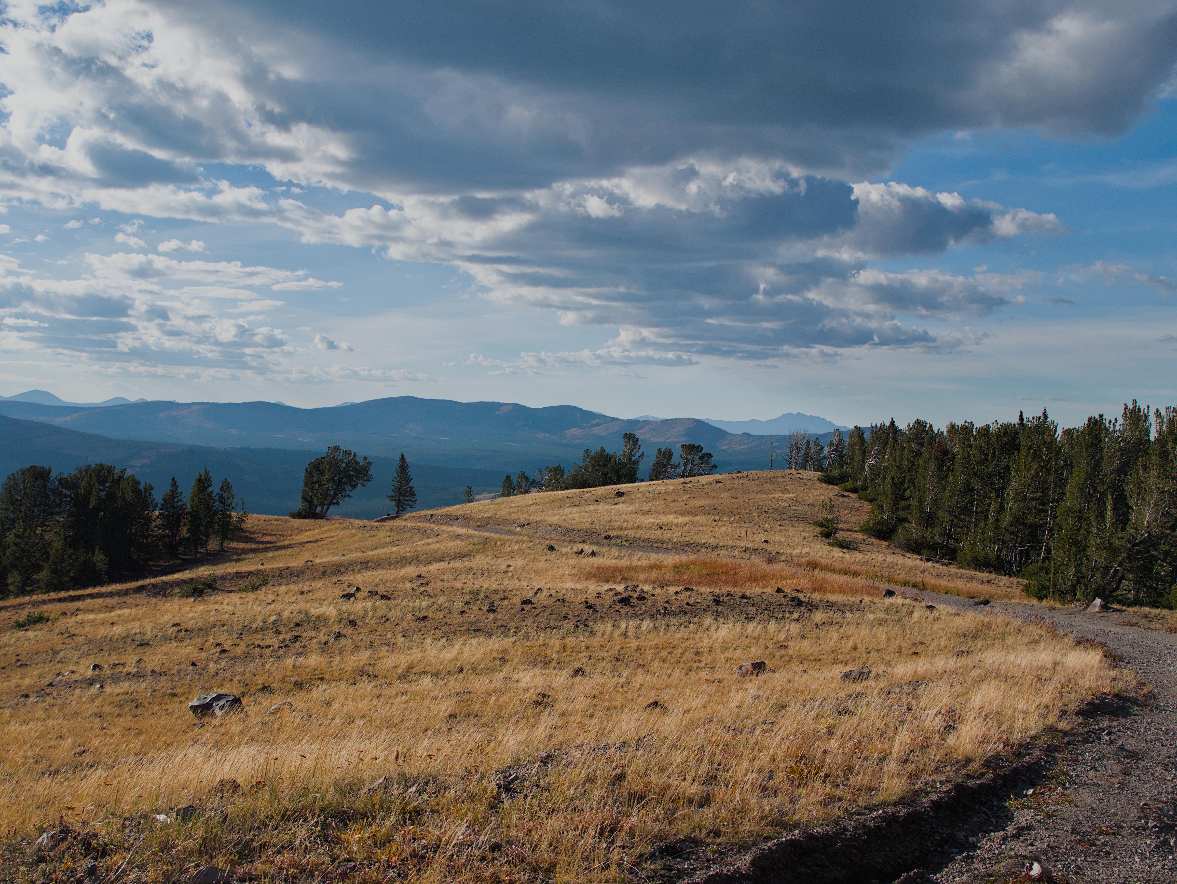 Landscape Nature Field Forest Trees Clouds Mountains Yellowstone National Park Wyoming USA North Ame 4622x3472