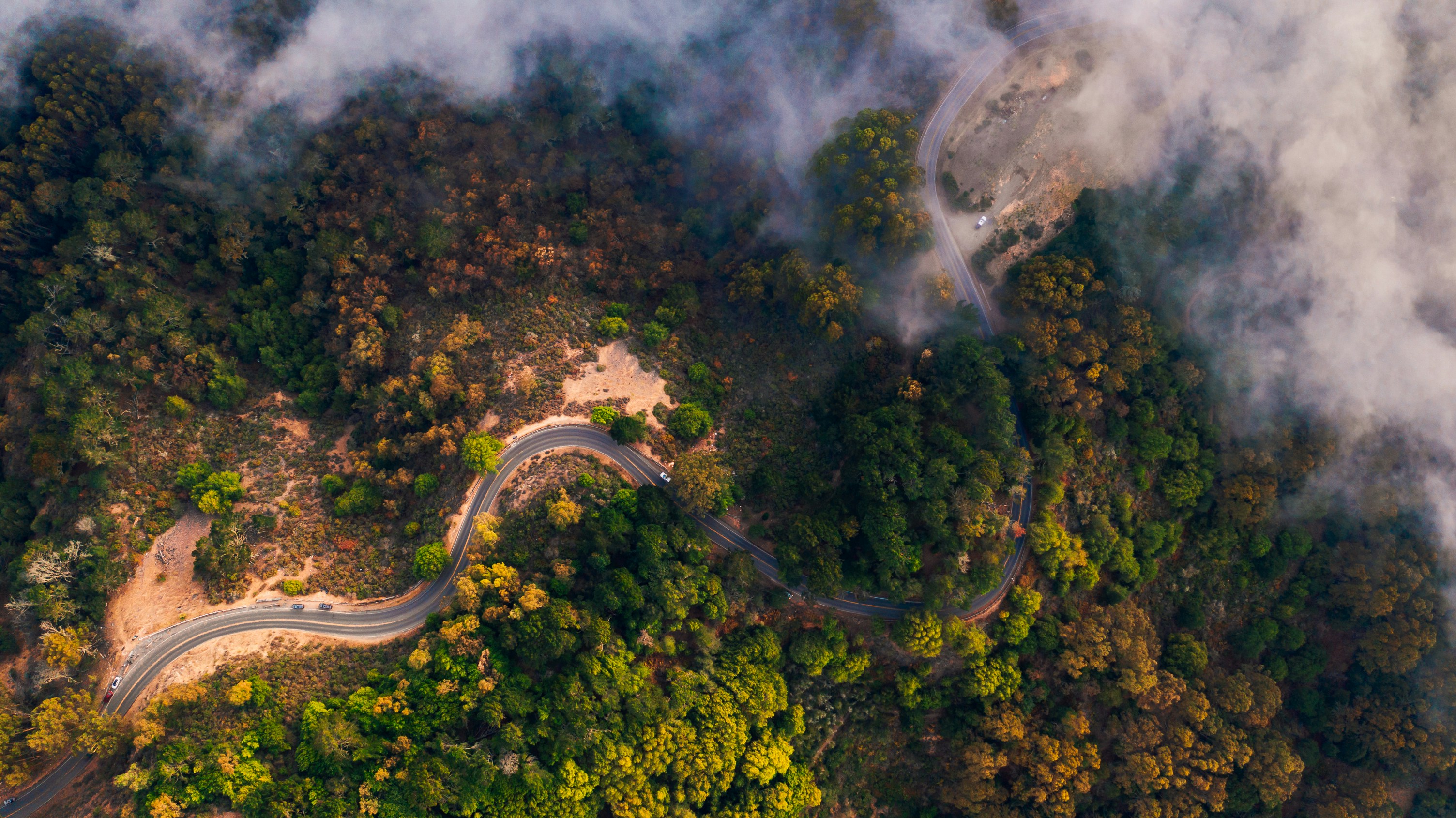 Nature Trees Forest Plants Road Asphalt Car Hairpin Turns Mist Drone Photo Aerial View Fog Californi 3008x1690