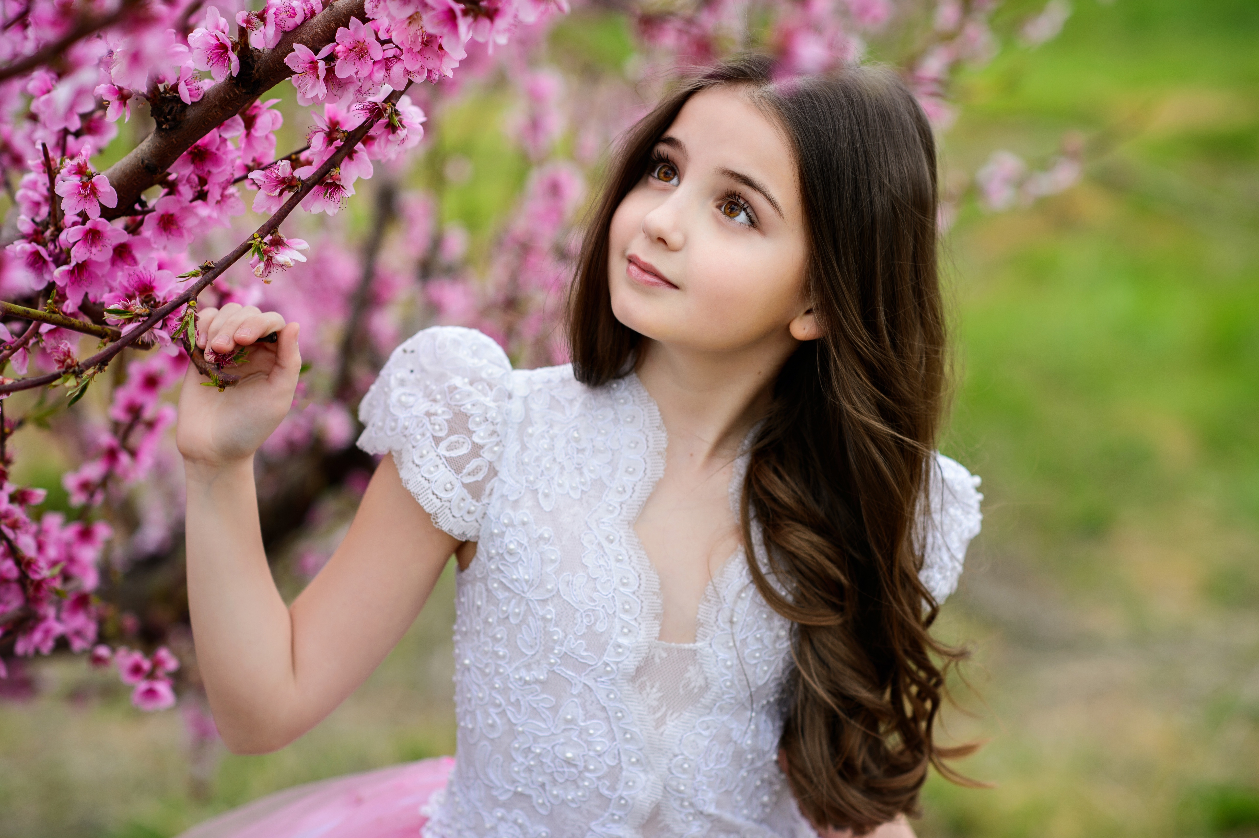 Baby People Outdoors Flowers Cloth Frock Pink Dress 4928x3280