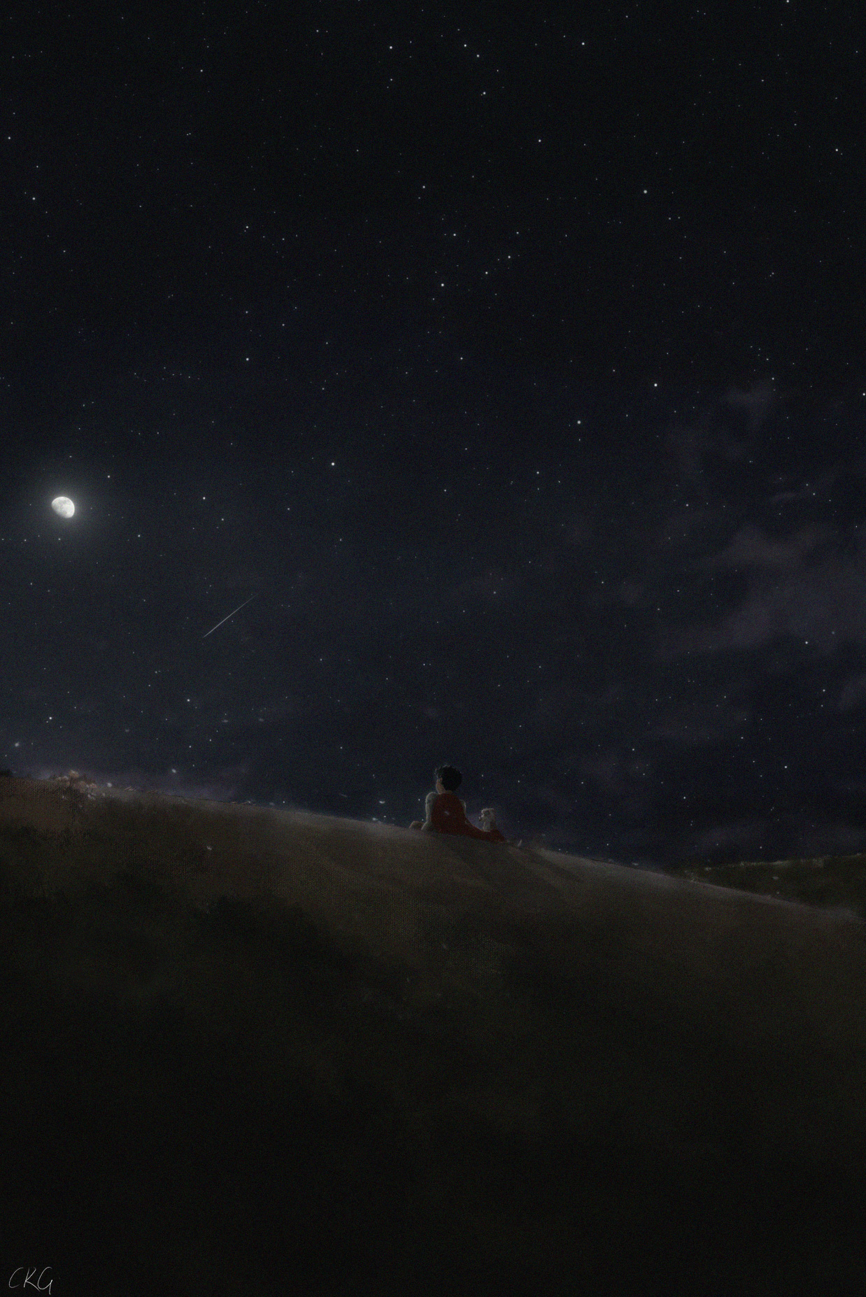 Outdoors Digital Art Nature Field Grass Sky Anime Dog Night Anime Boys Ridges Stars Moon Sitting 1238x1854