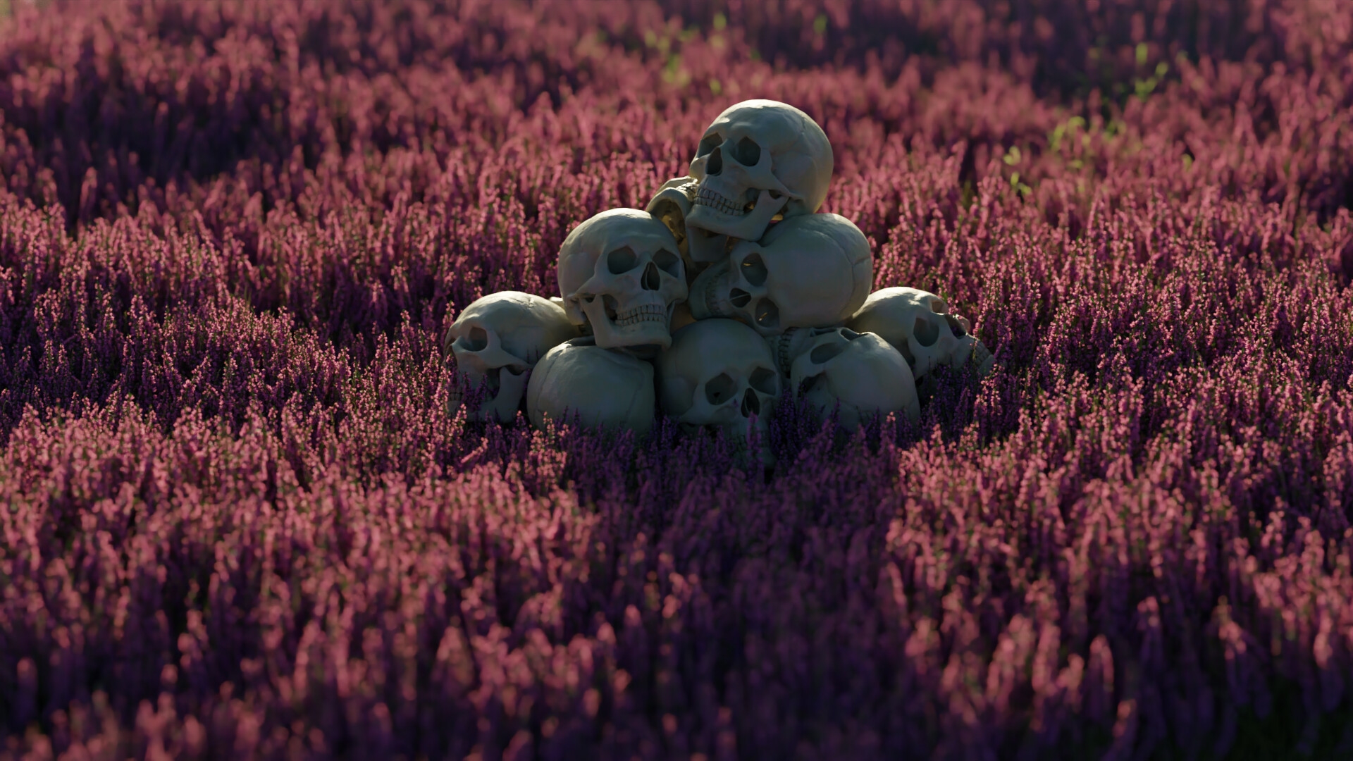 Digital Art Flowers Lavender Skull Iwo Pilc Blender 1920x1080