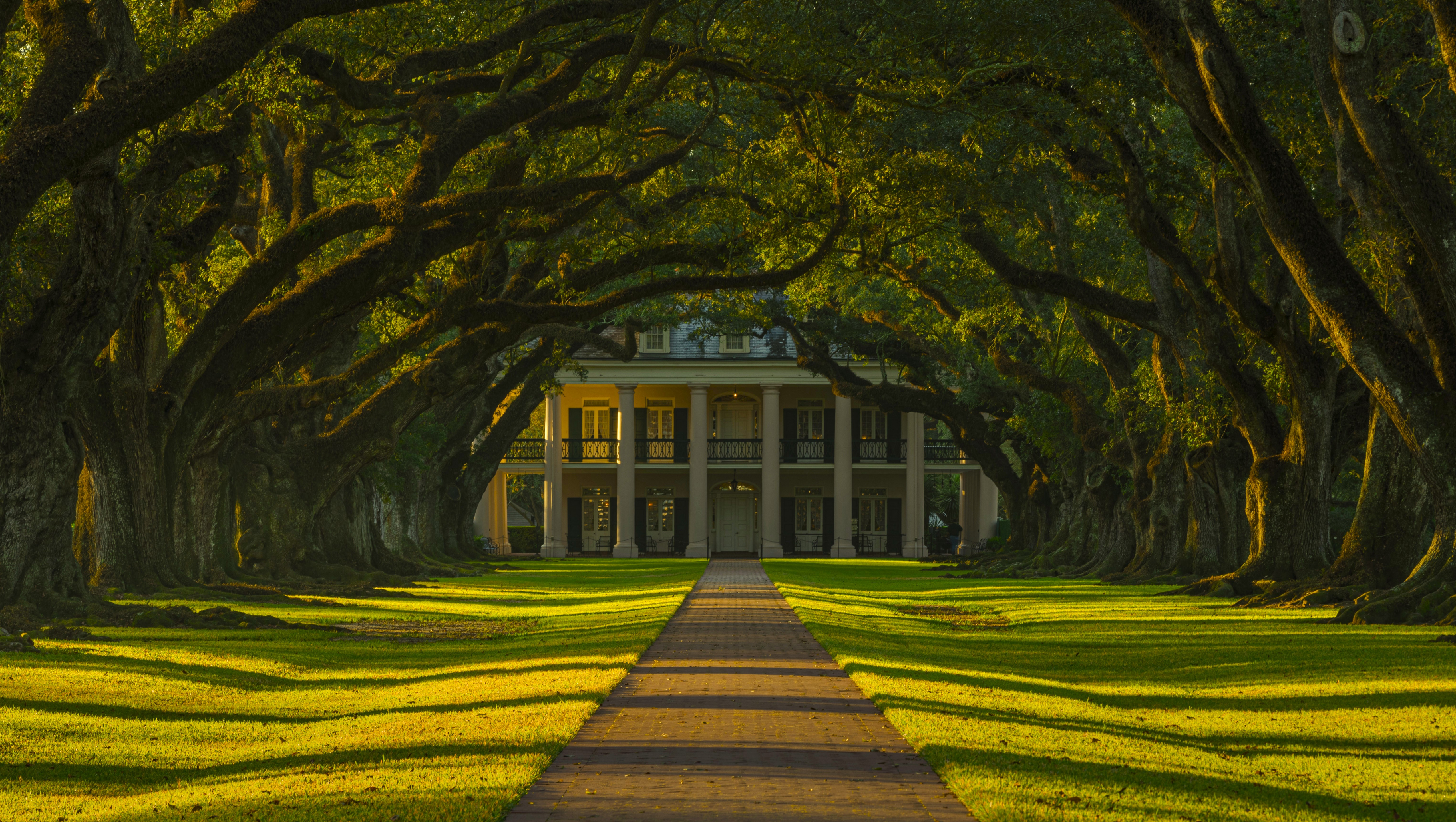 Nature Trees Mansions Grass Tunnel Of Trees Sunlight Branch Path Shadow Oak Museum USA Oak Alley Pla 5100x2880