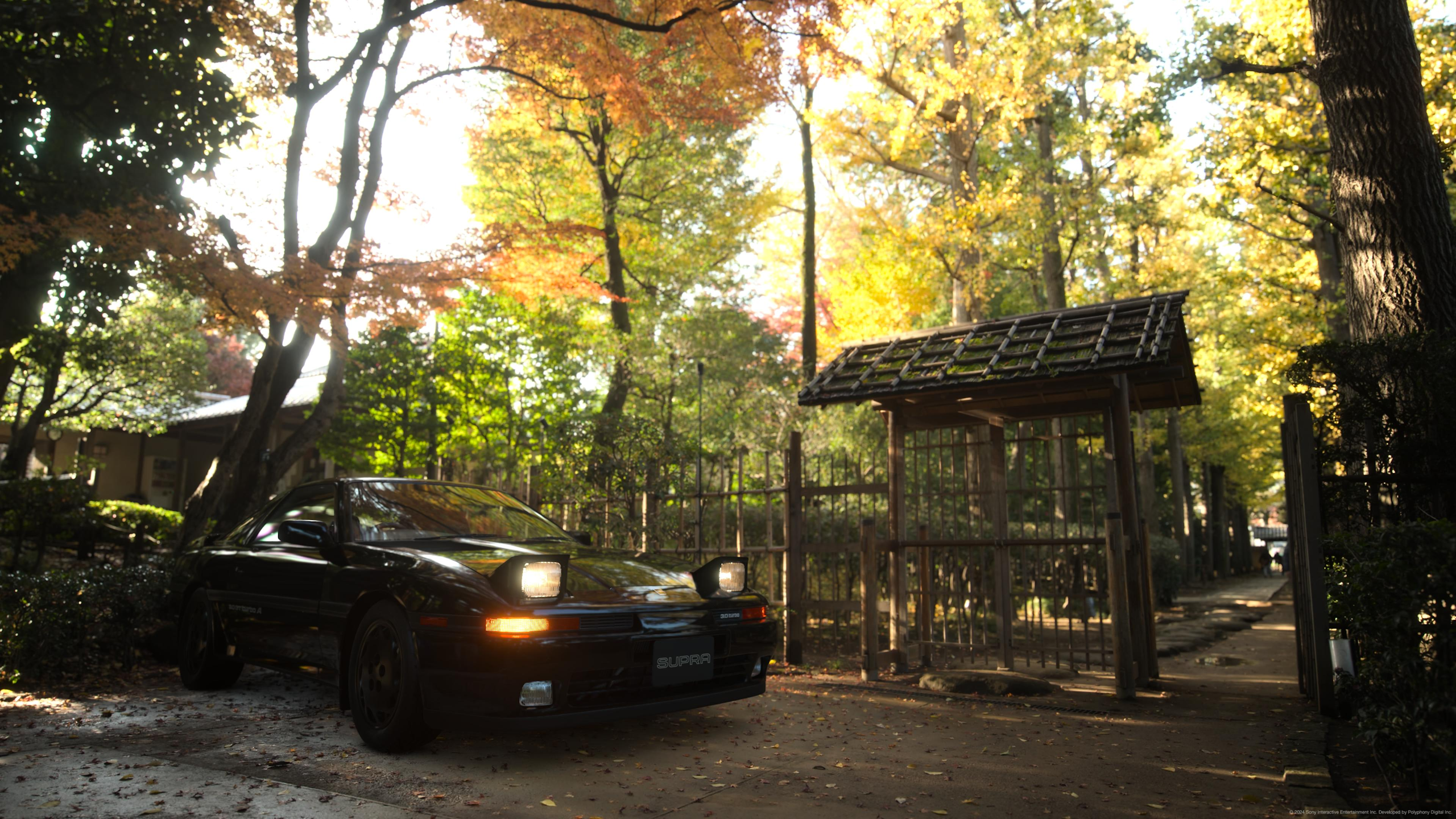 Toyota Toyota Supra Nature Japan Car Forest 2560x1440