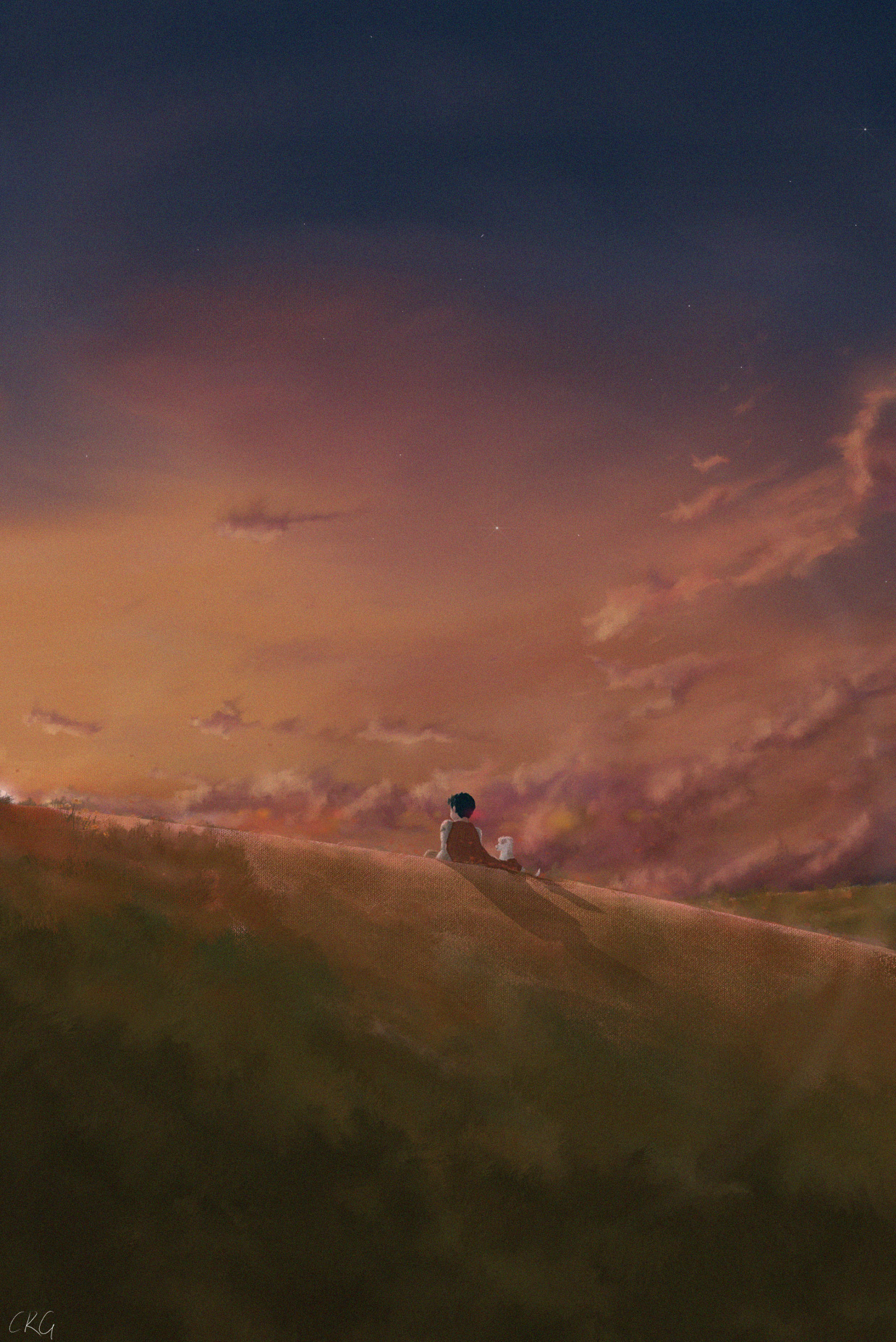 Outdoors Digital Art Nature Field Sunset Glow Sunset Grass Clouds Sky Anime Dog Anime Boys Ridges Si 1238x1854