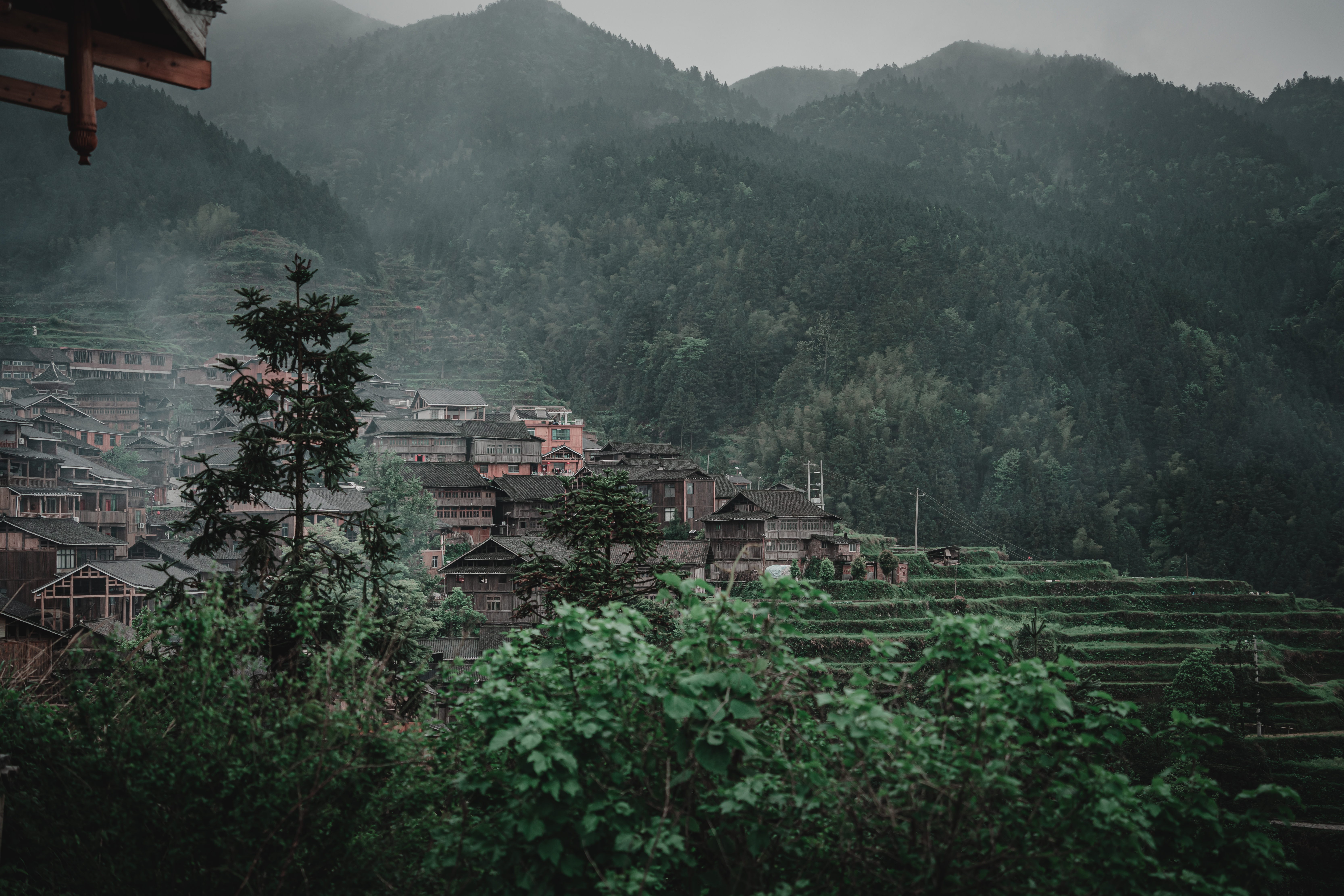 China Village Forest Terraces 6666x4444