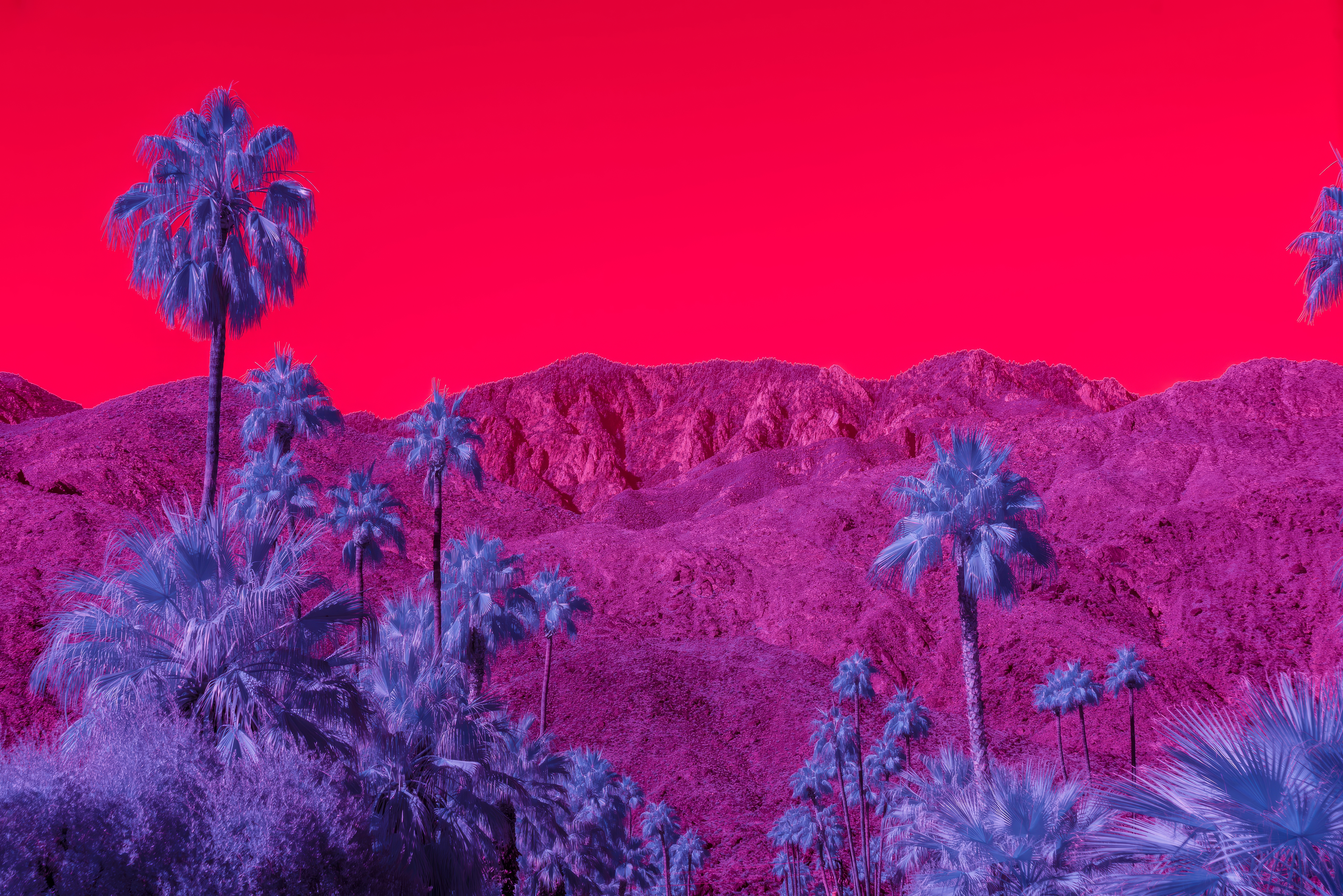 Surreal Infrared Palm Trees Mountains Red Blue Bright Pink 4728x3154