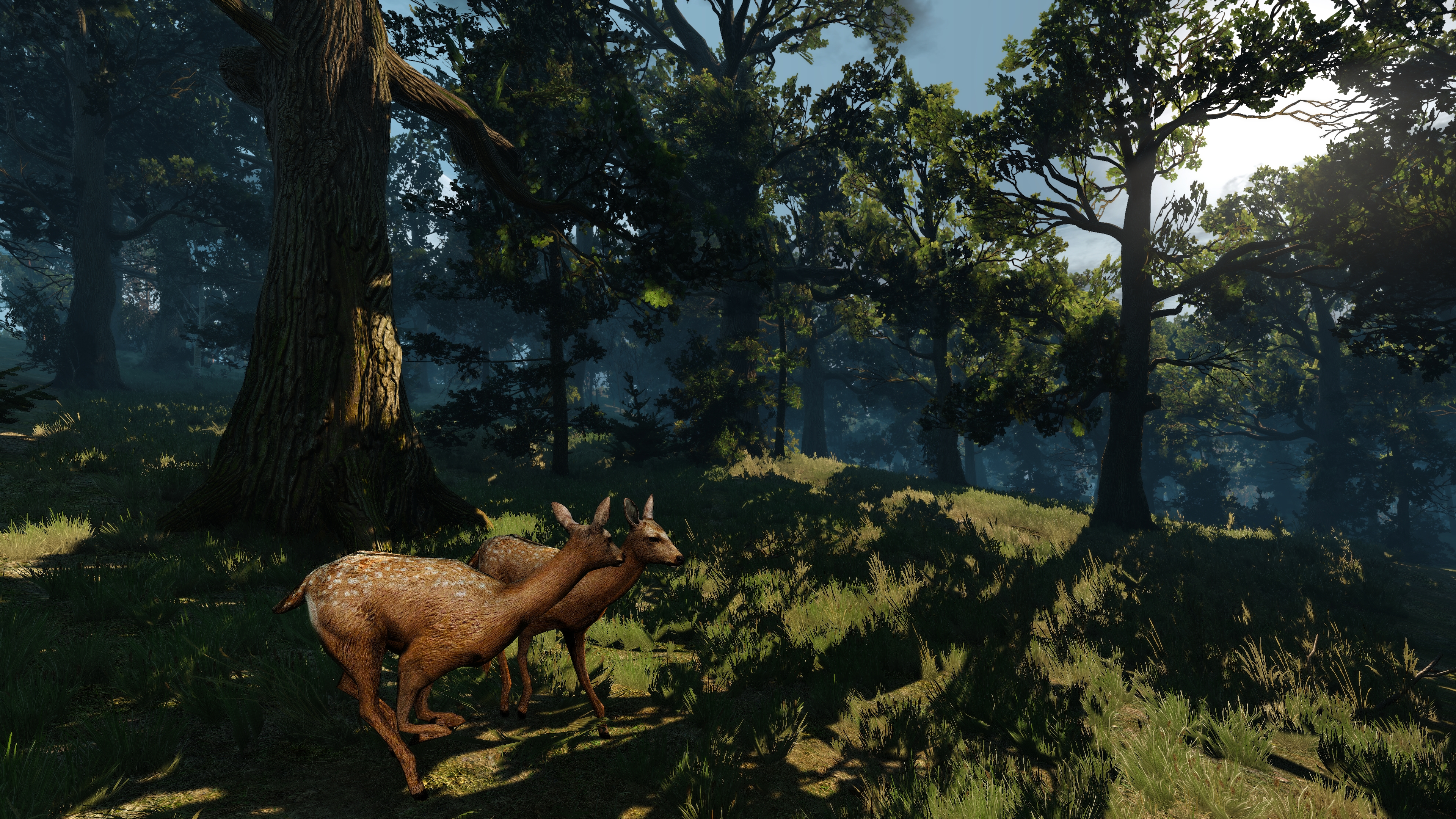 The Witcher 3 Wild Hunt Screen Shot Video Games Deer Forest The Witcher 3840x2160