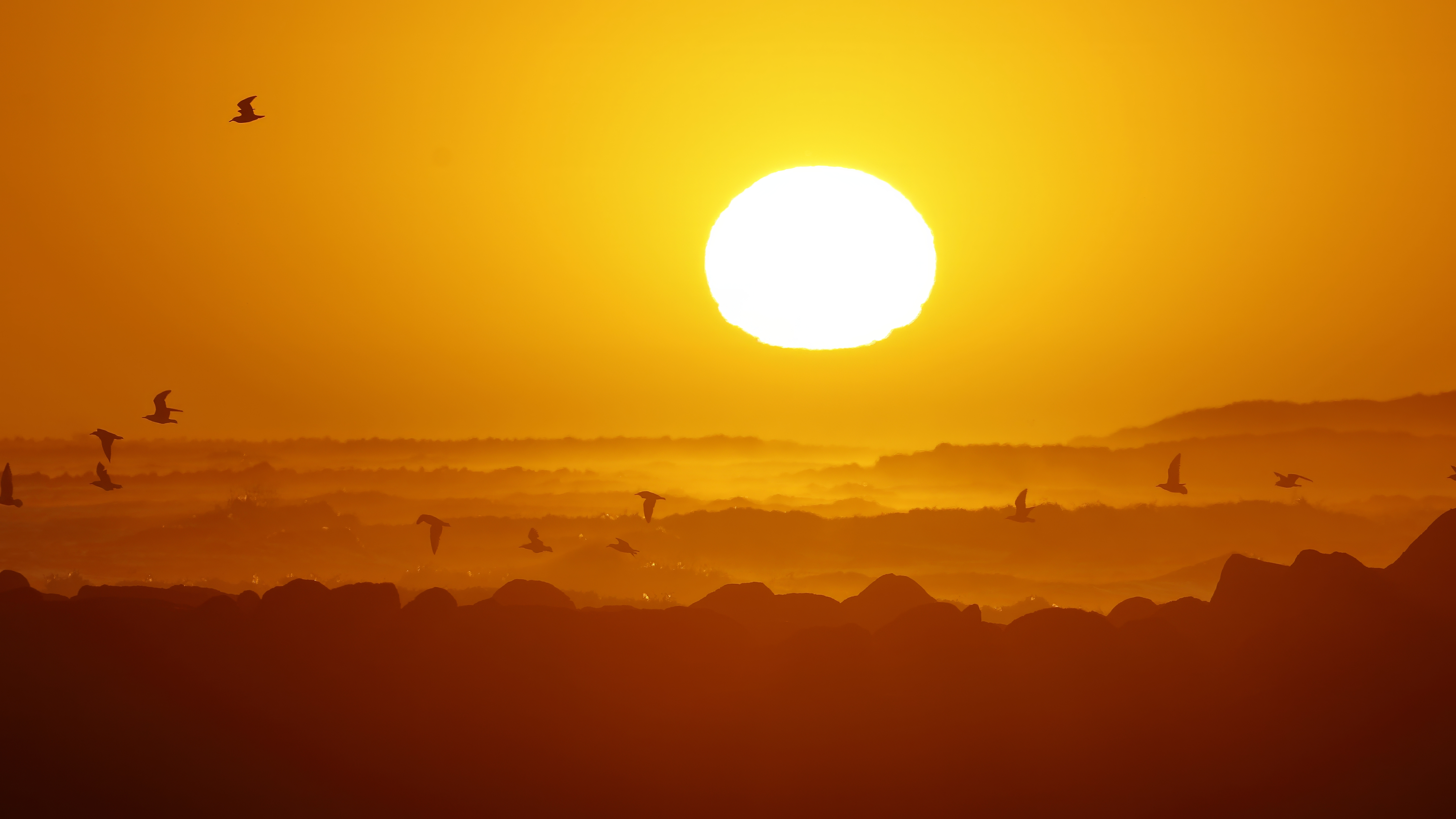 Sun Bright Silhouette Flock Of Birds White Light Orange Yellow Dawn Sunset 5436x3058