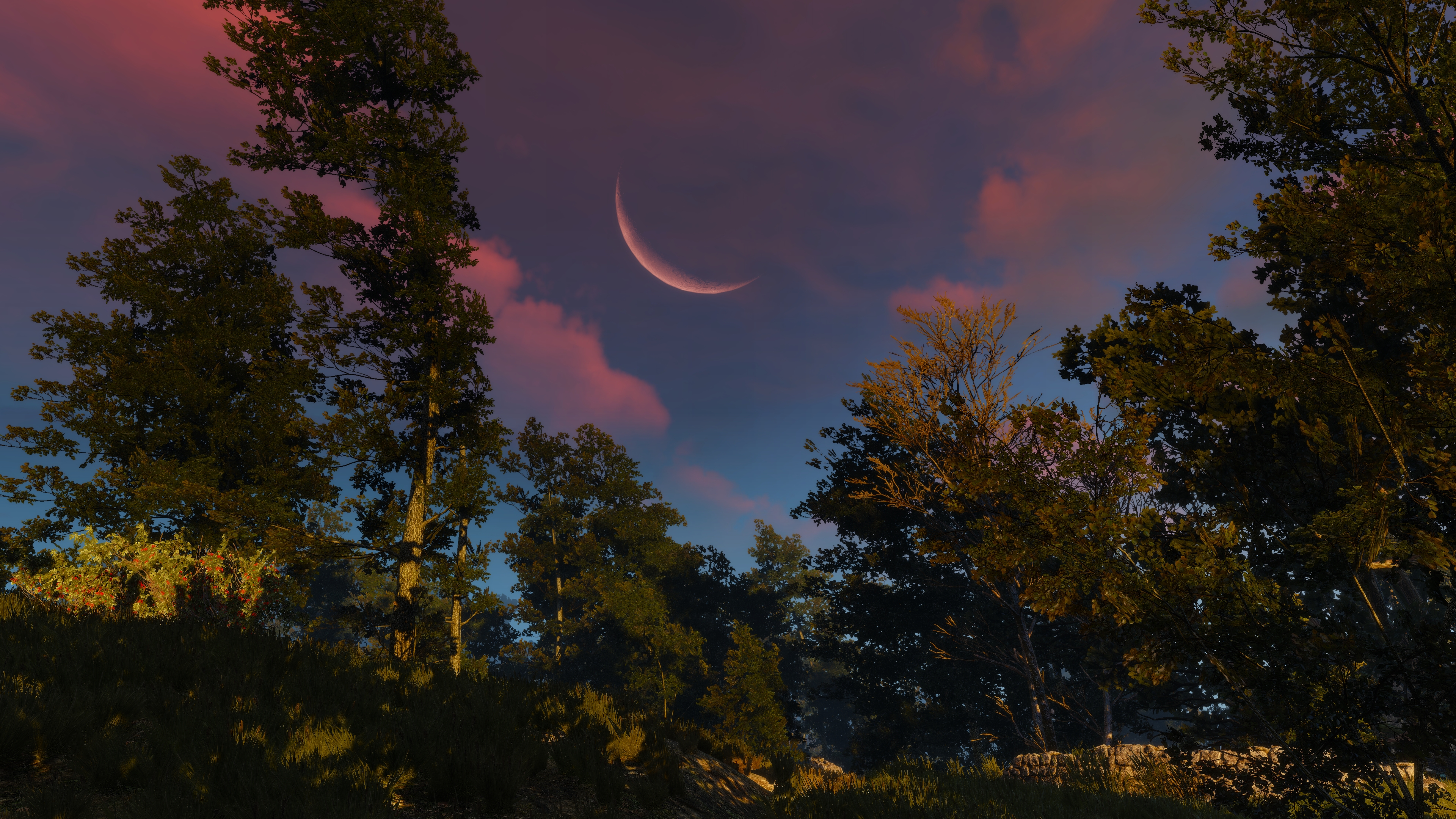 The Witcher 3 Wild Hunt Screen Shot PC Gaming Moon Sunset 3840x2160