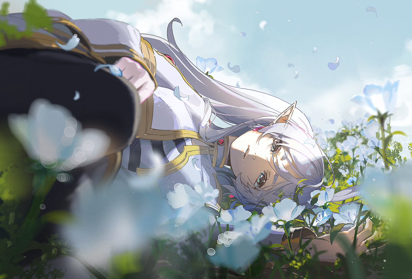 Sousou No Frieren Frieren Anime Girls Pointy Ears Looking At Viewer Flowers Blue Flowers White Hair  1328x900