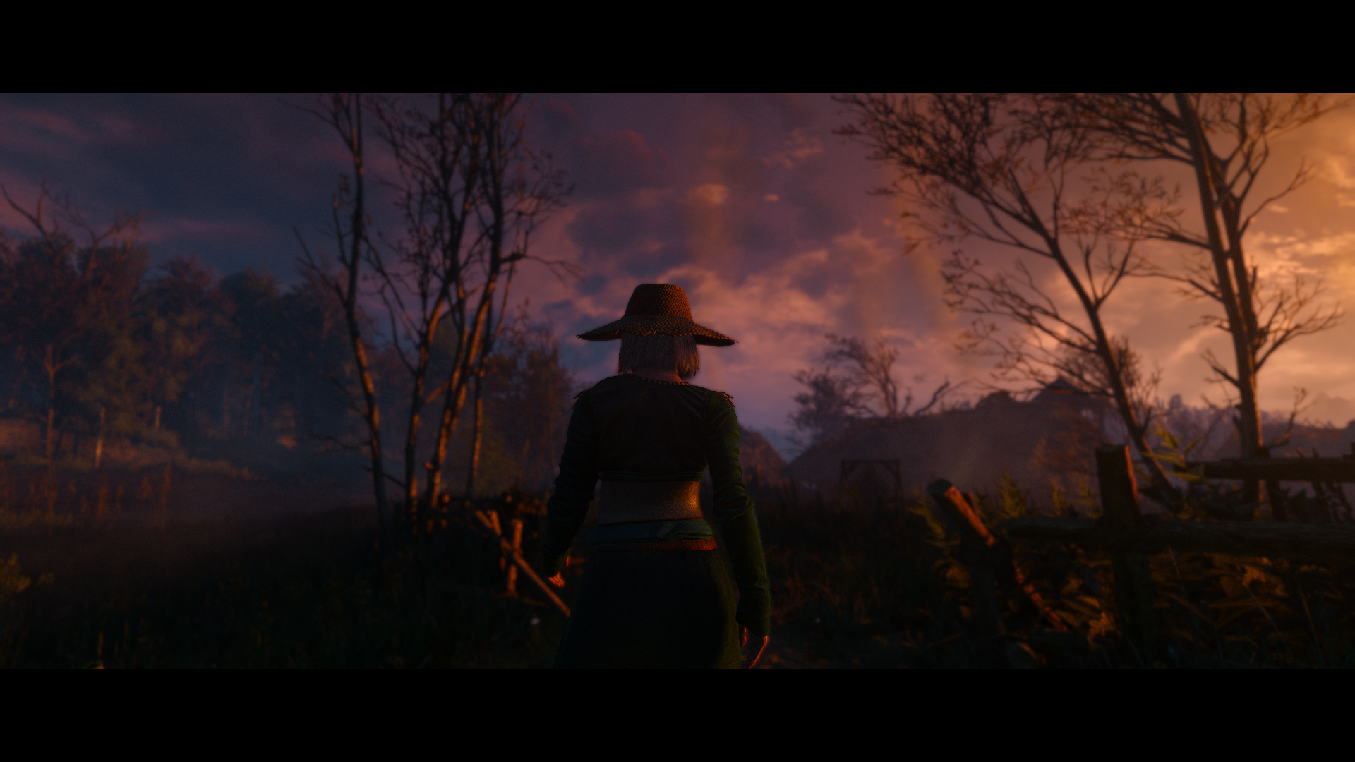 The Witcher 3 Wild Hunt Screen Shot 1920x1080