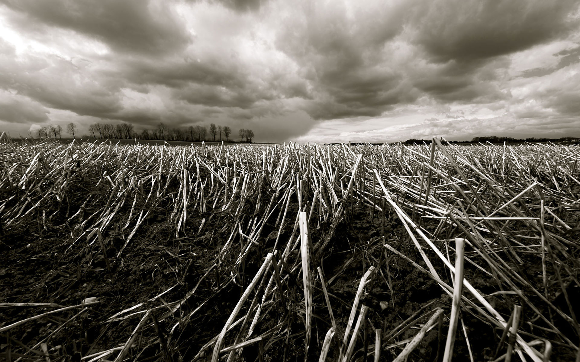 Clouds Overcast Field 1920x1200