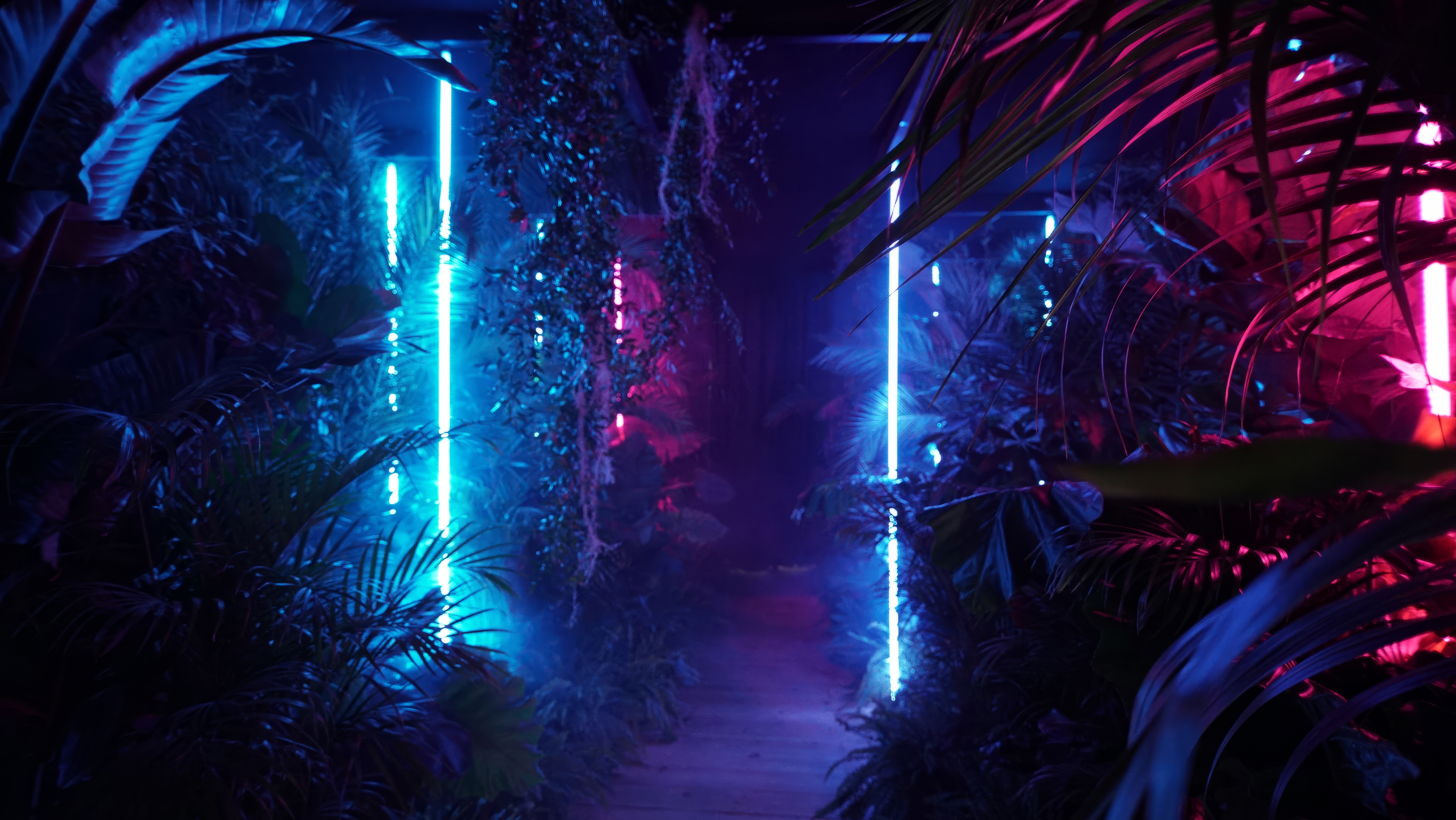 Plants Ferns Exotic Neon Lights Blue Pink Glowing 5536x3120