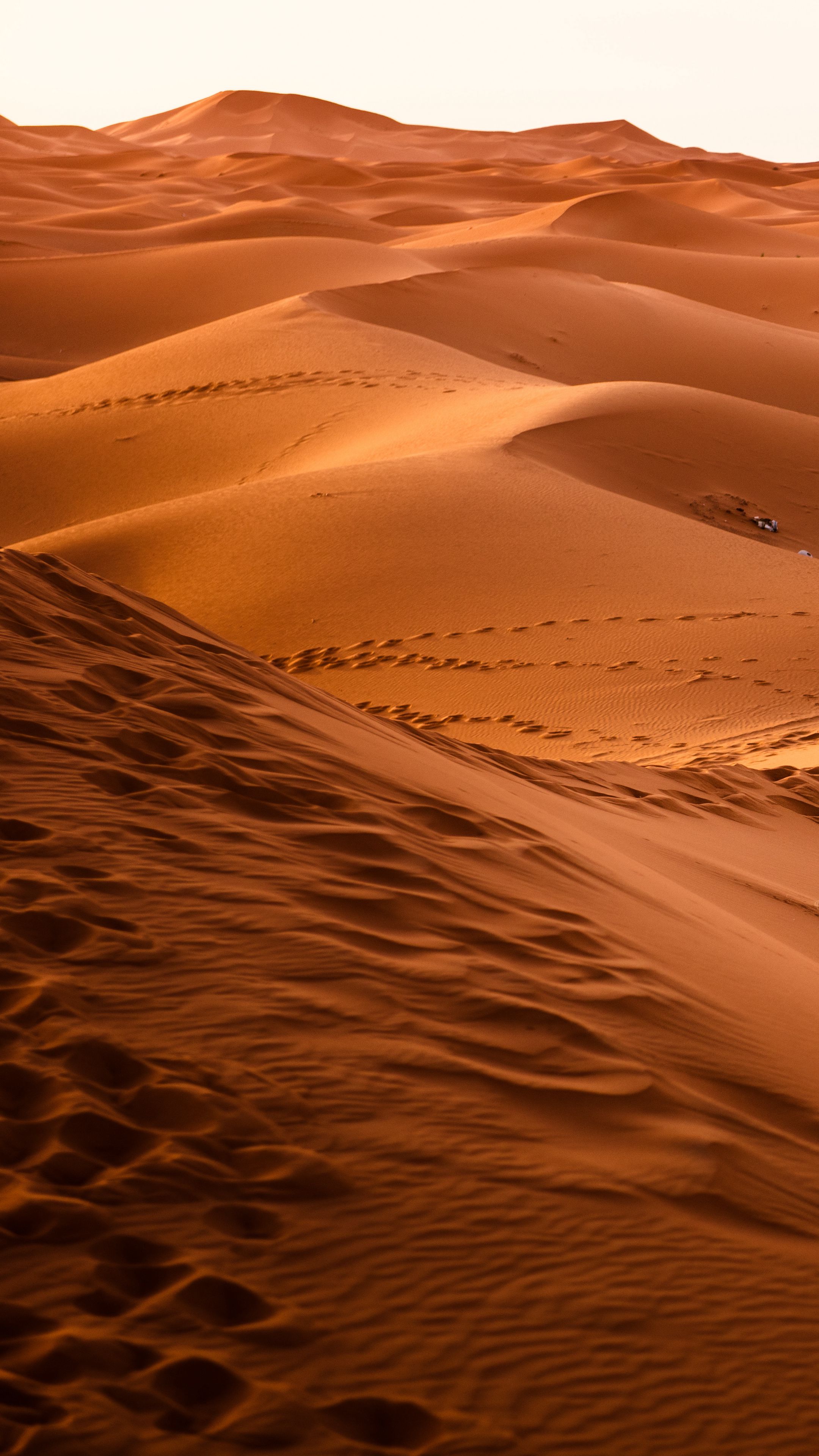 Calm Dunes Desert Wilderness Tracks 2160x3840