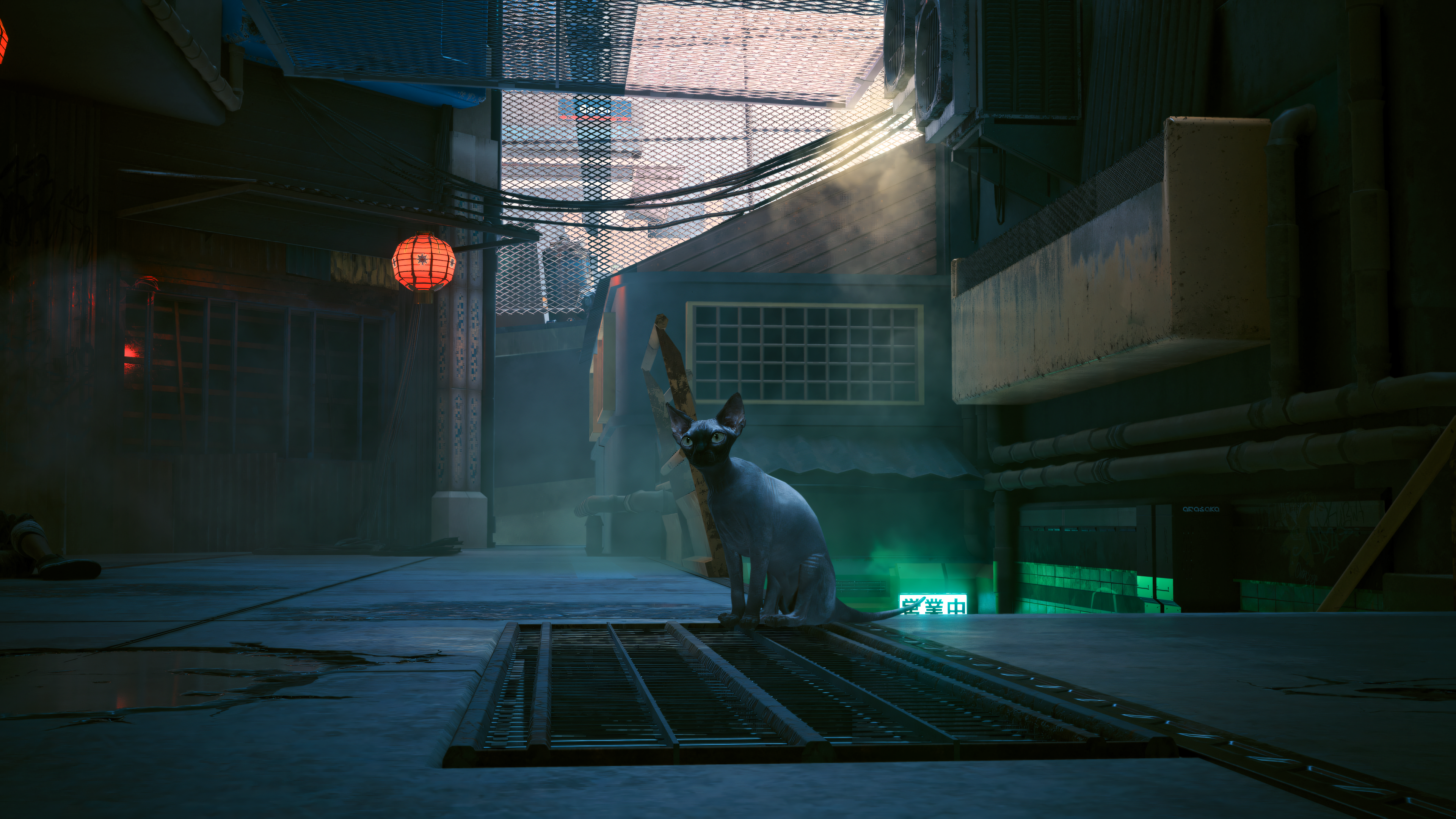 Cyberpunk 2077 Cats Video Games Video Game Art Urban City Fog Lights 3840x2160