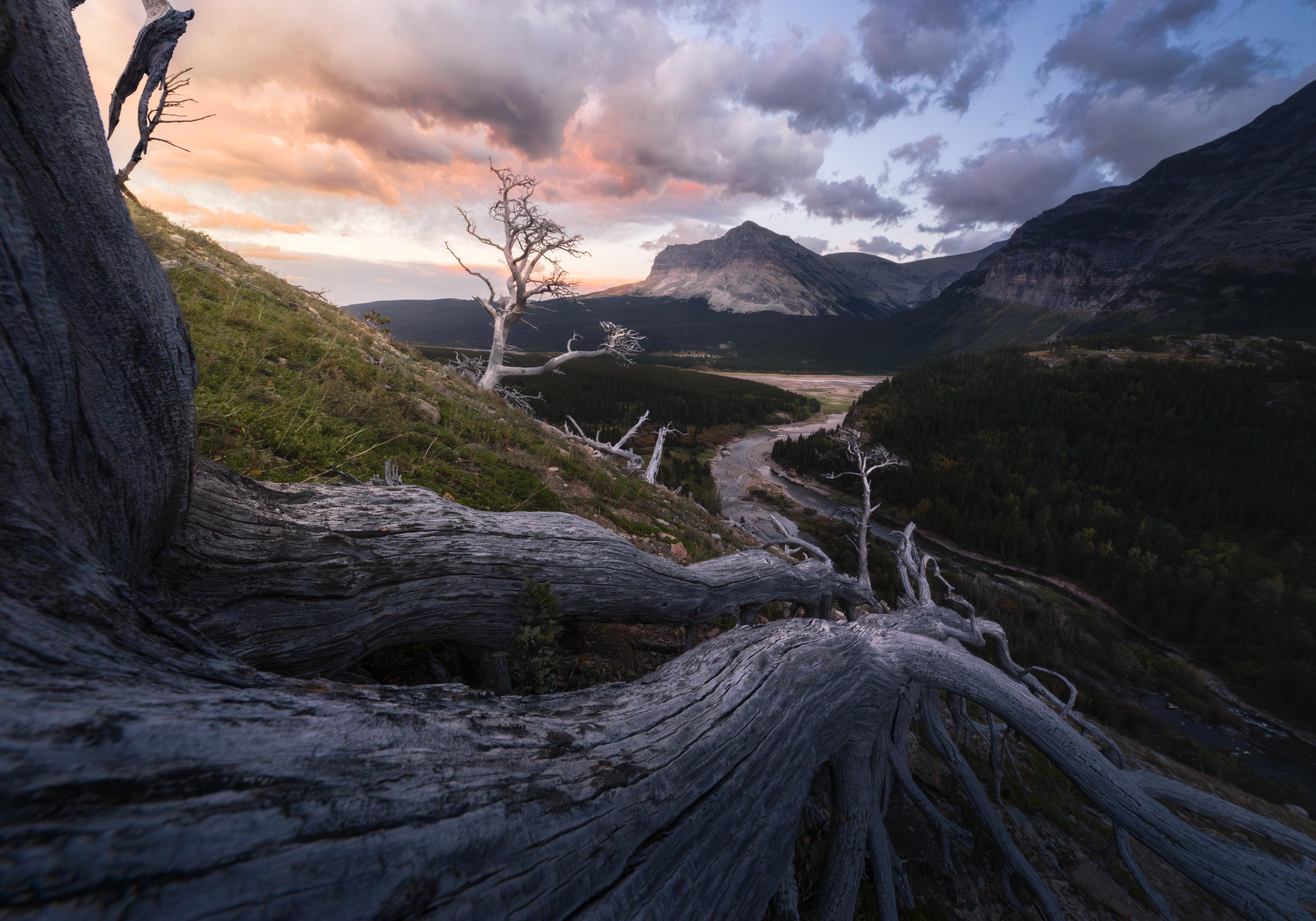 Nature Landscape River Mountains Forest Dead Trees Glacier National Park Montana USA North America C 6403x4480