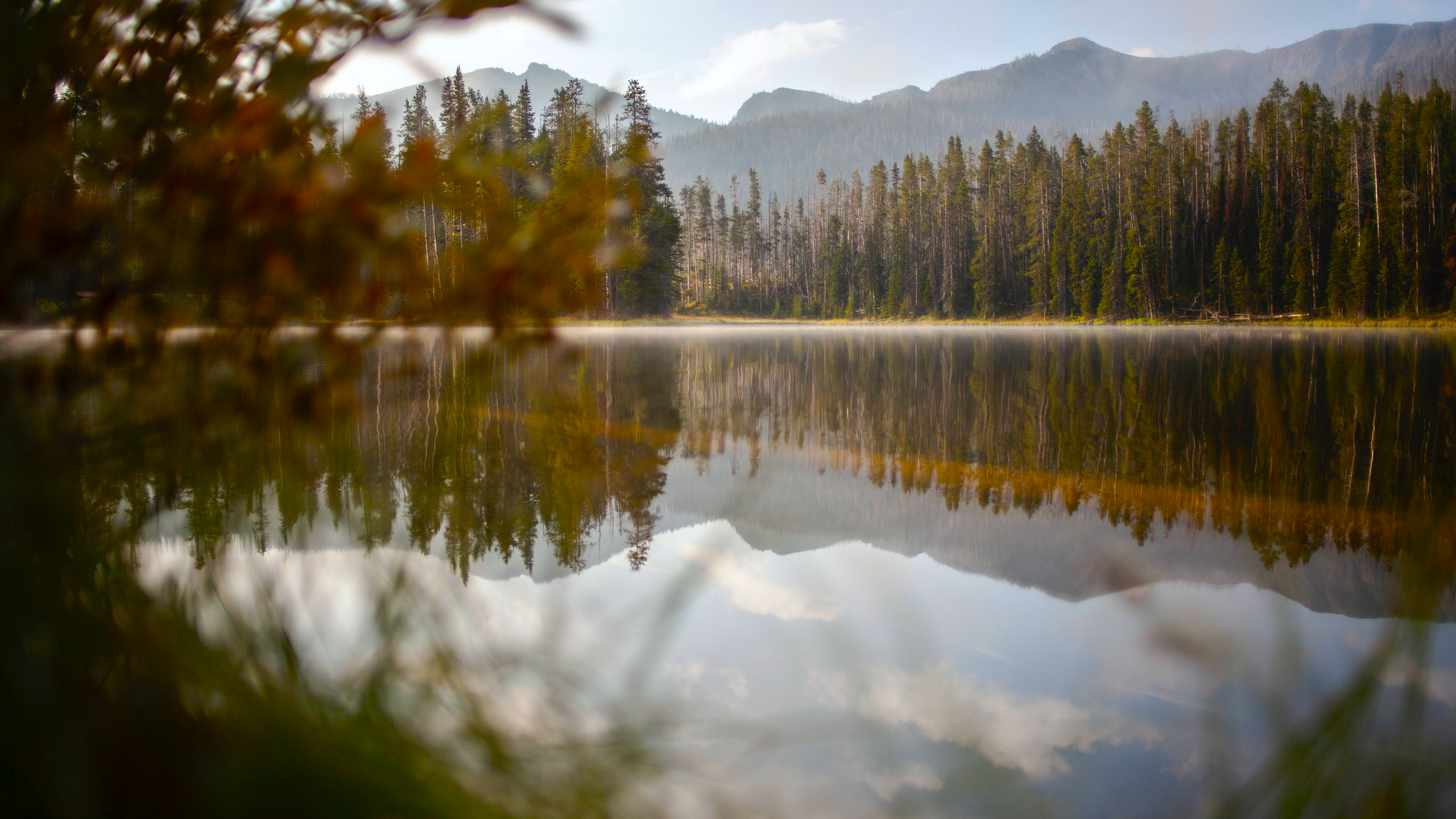 Nature Landscape Fir Forest Reflection Water Lake Wilderness Yellowstone National Park Wyoming USA 3840x2160