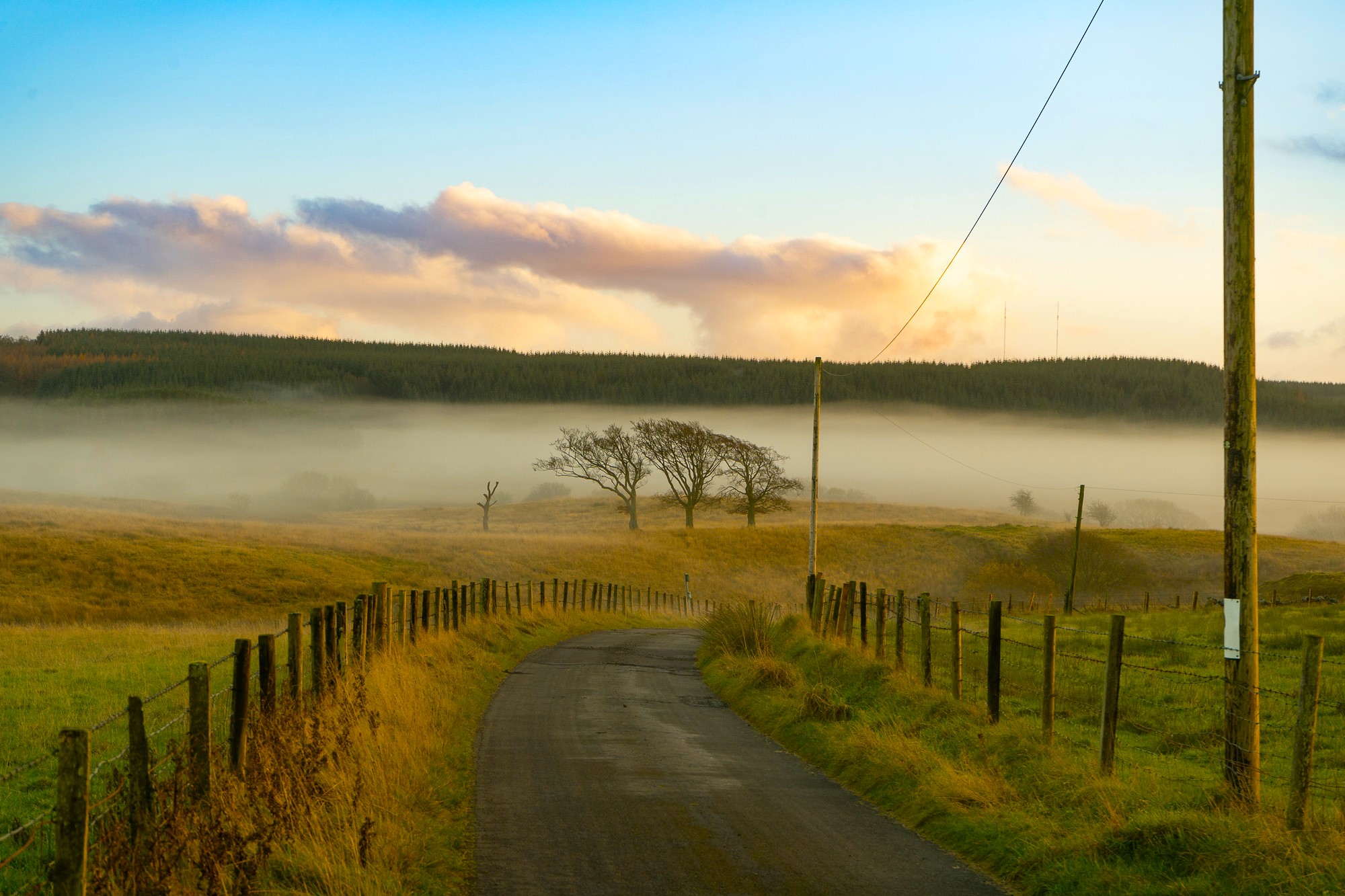 Nature Landscape Trees Sky Clouds Forest Wood Fence Road Grass Morning Mist Ireland 2000x1333