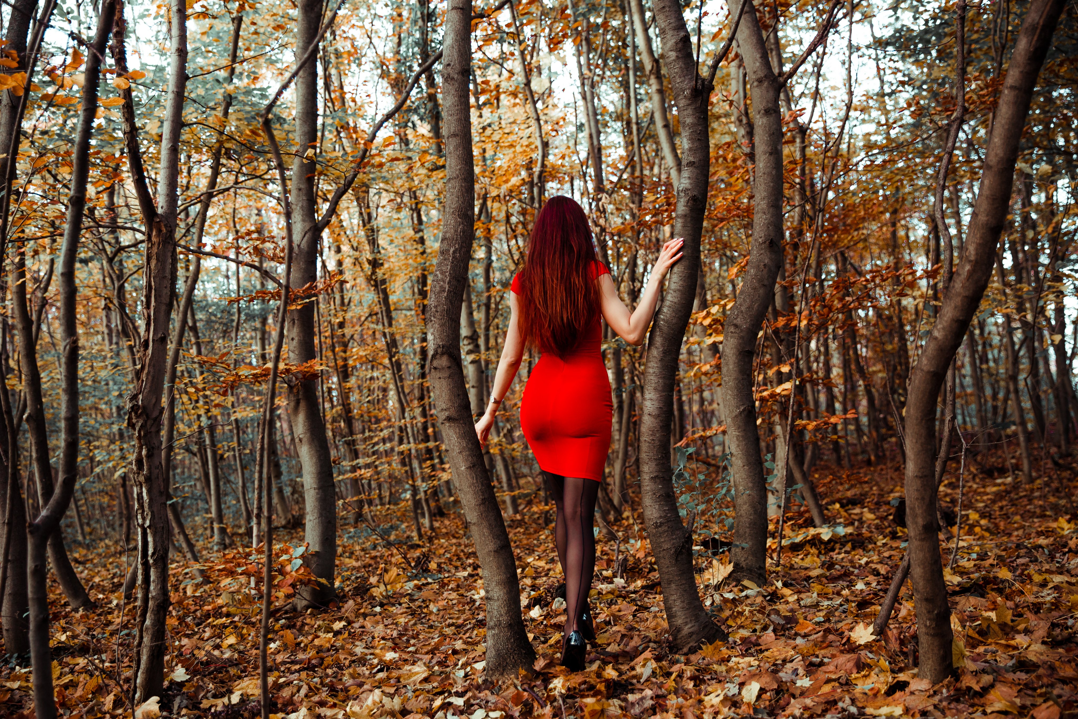 Dress Heels Women Model Redhead Red Dress Rear View Legs High Heels Walking Forest Trees Tree Trunk  4096x2731