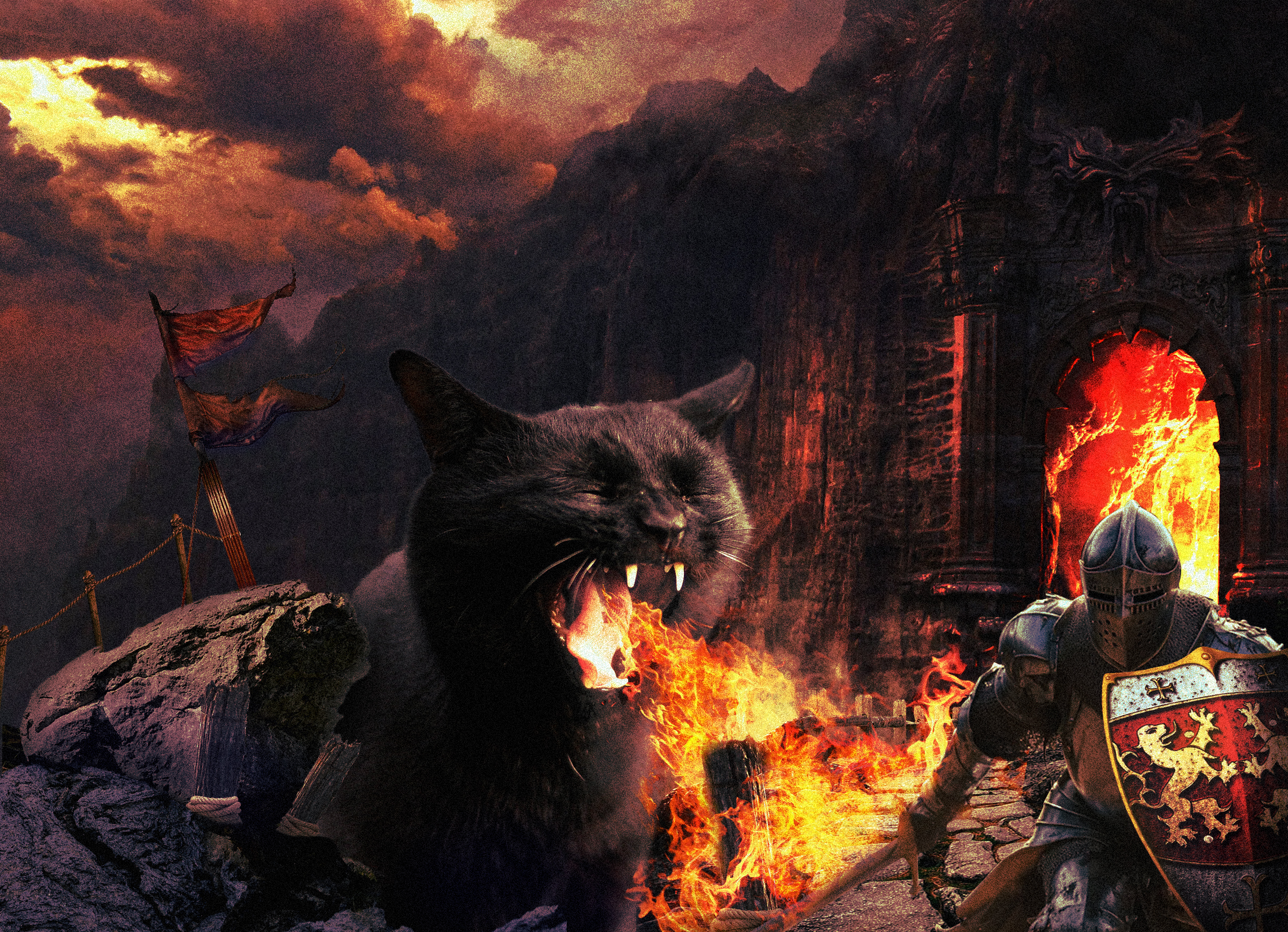 Humor Cats Dragon Fire Knight Dungeons Dragons Baldurs Gate Digital Art Photoshopped 2422x1753