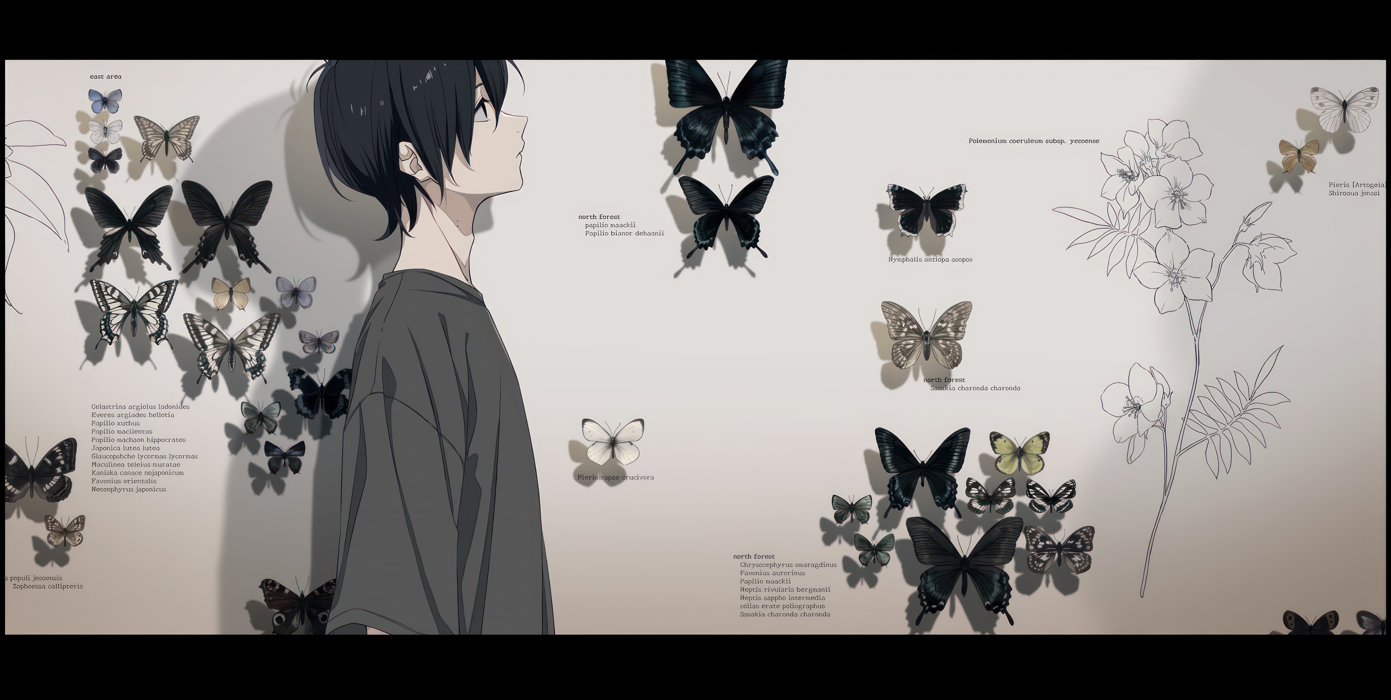 Anime Anime Boys Butterfly Text Wall Flowers Black Hair 4500x2265