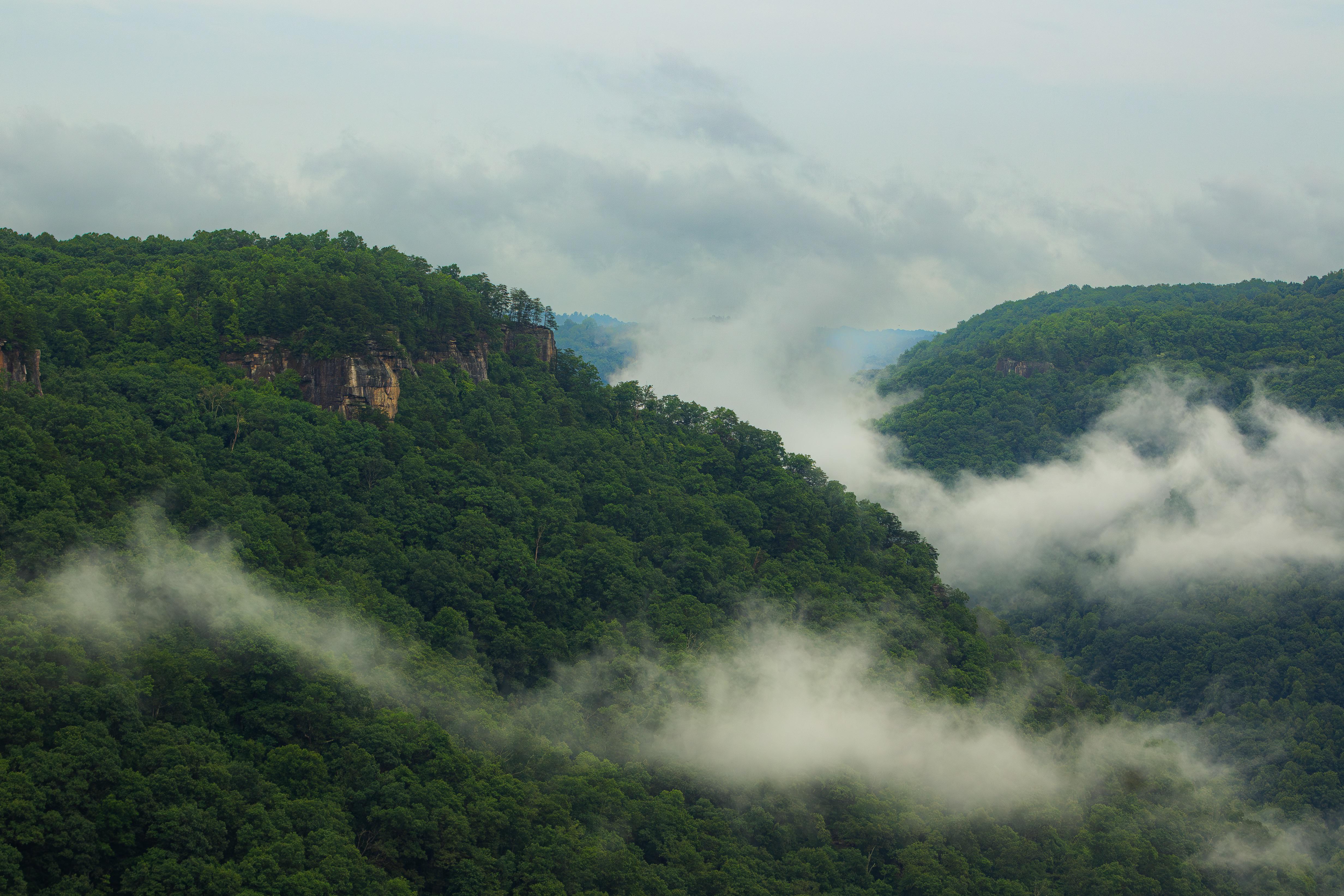 Clouds Mist Fog Forest Landscape Nature West Virginia USA North America Cliff Hills National Park 4929x3286