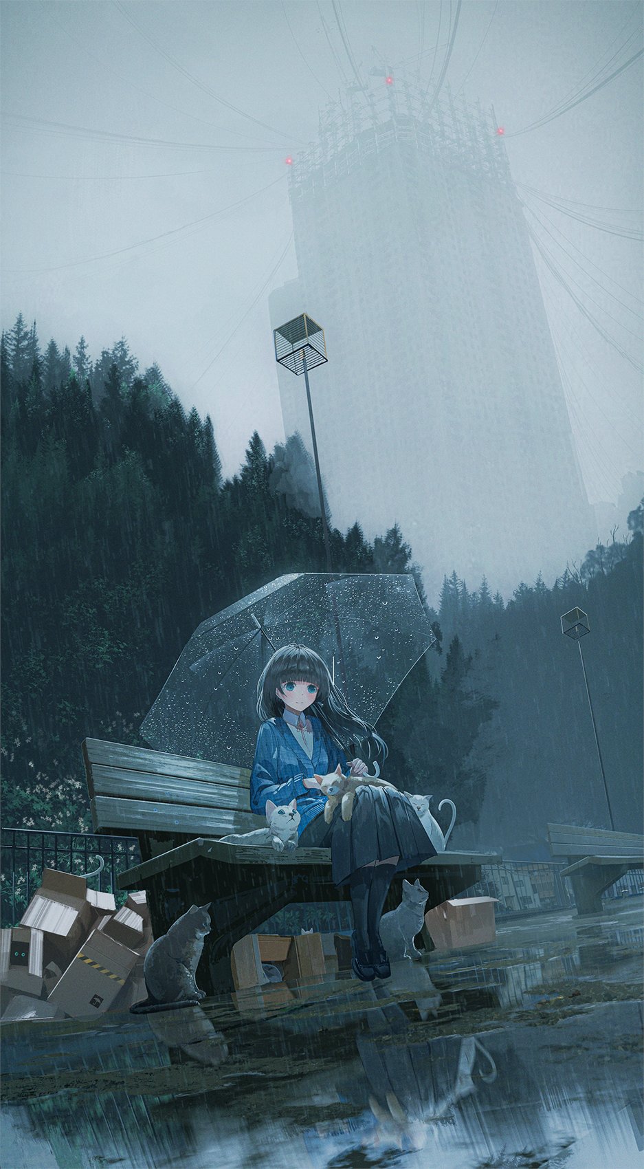 Chocoshi Looking At Viewer Portrait Display On Bench Rain Cats Water Reflection Cardboard Box Women  937x1700