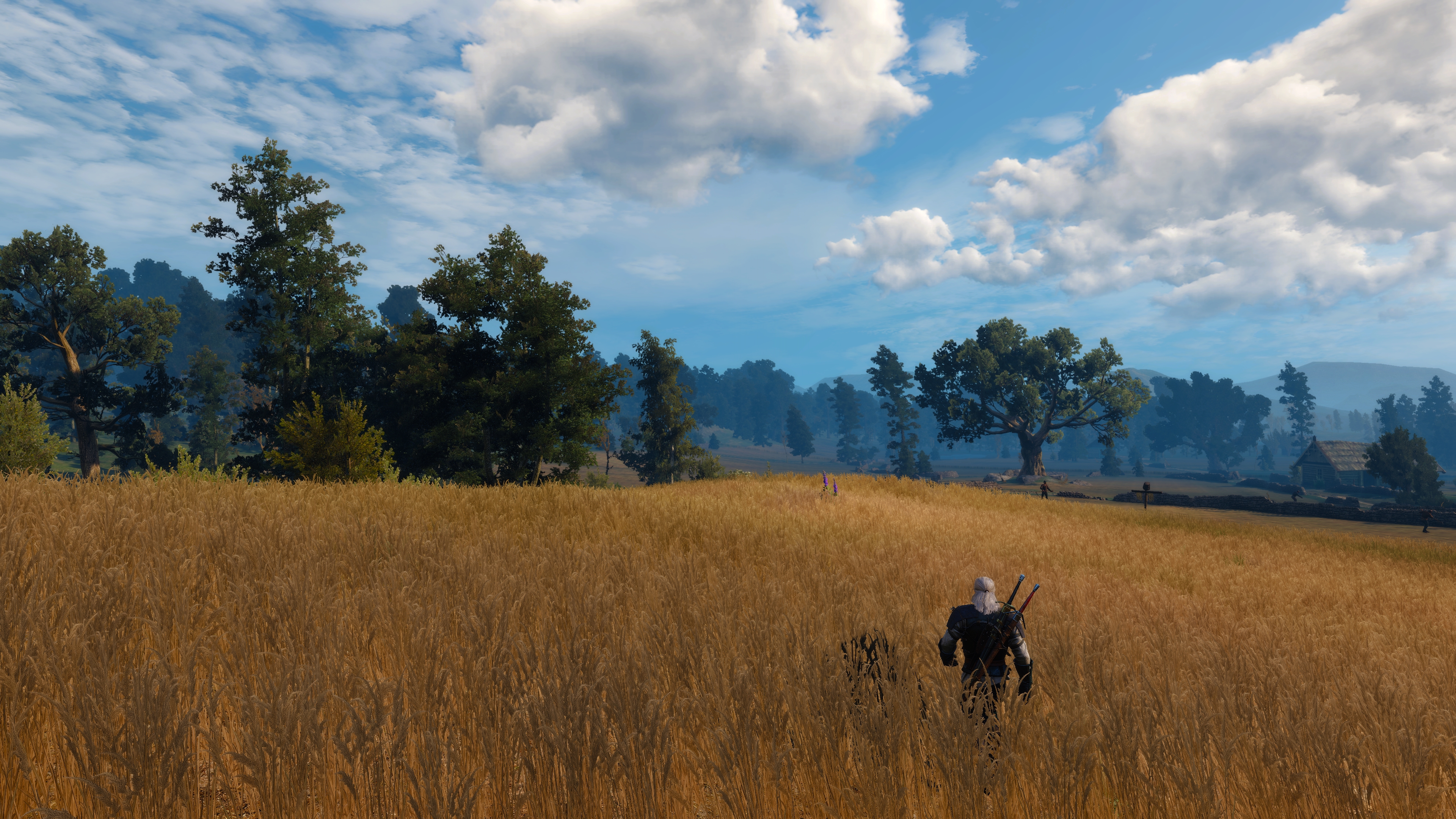The Witcher 3 Wild Hunt Screen Shot PC Gaming 3840x2160