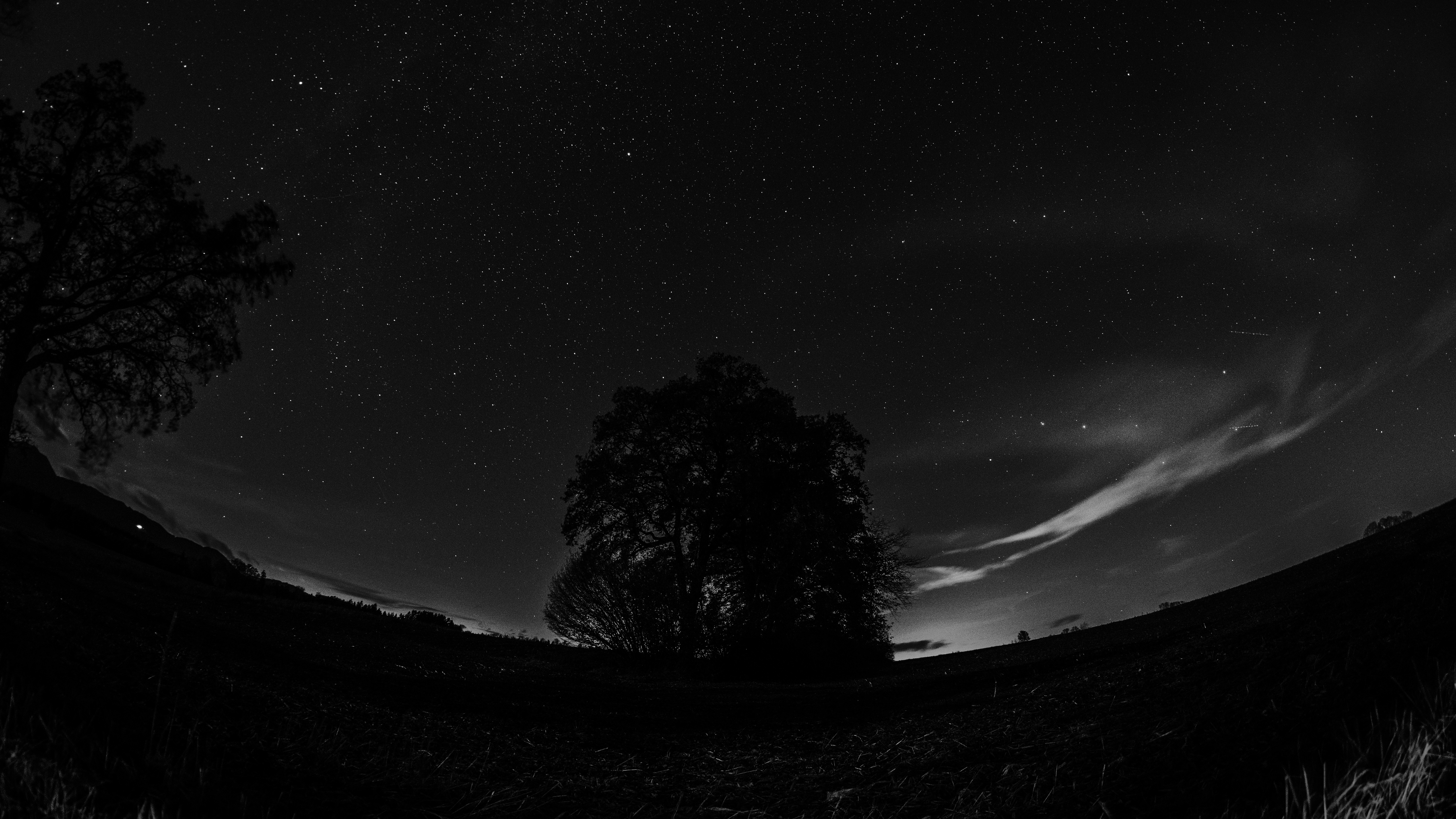 Night Nature Trees Night Sky Stars Fisheye Lens Photography Dark Monochrome 6000x3376