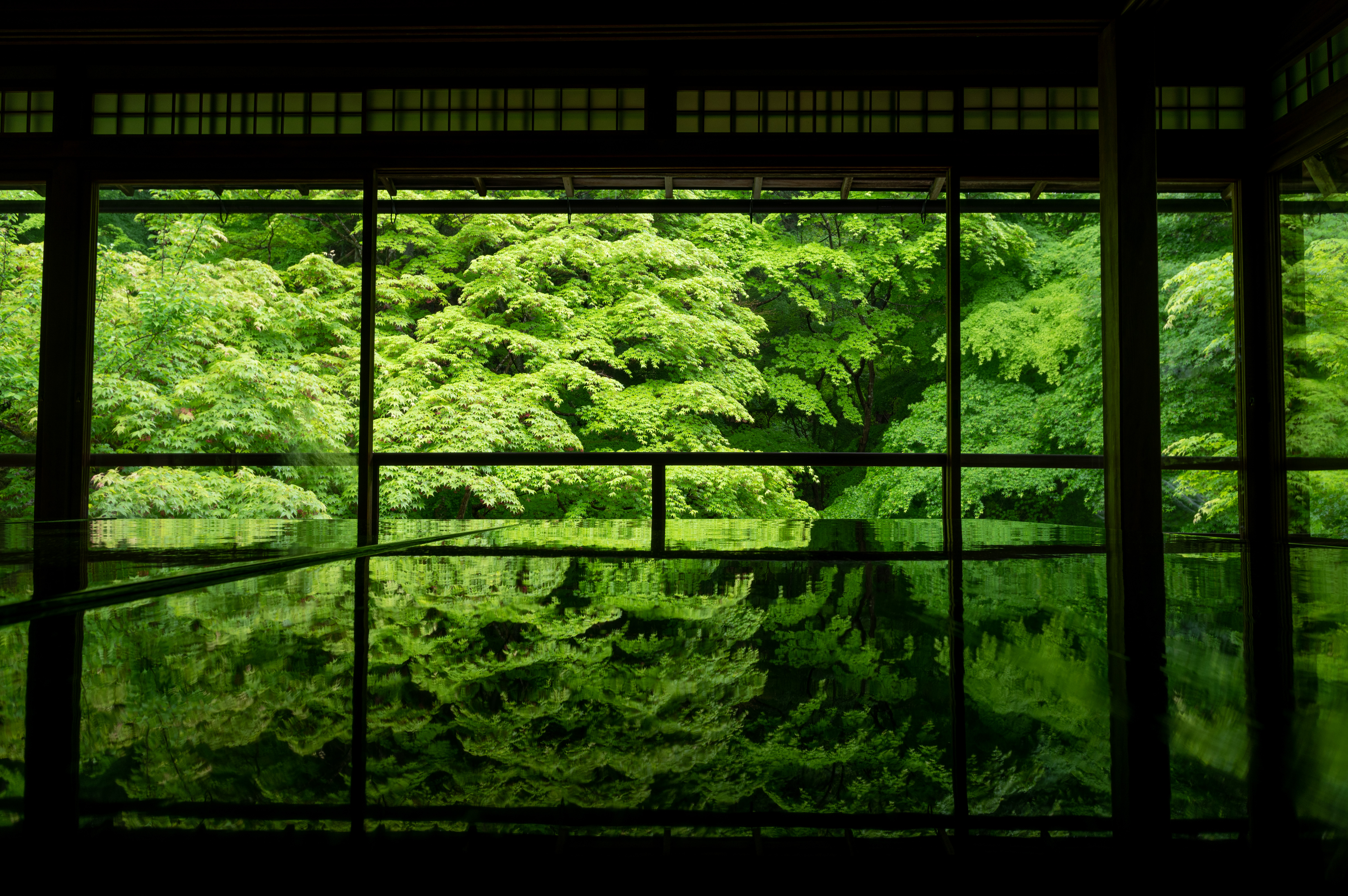 Trees Water Reflection Dark Low Light Temple Asian Architecture Kyoto Japan 5966x3967