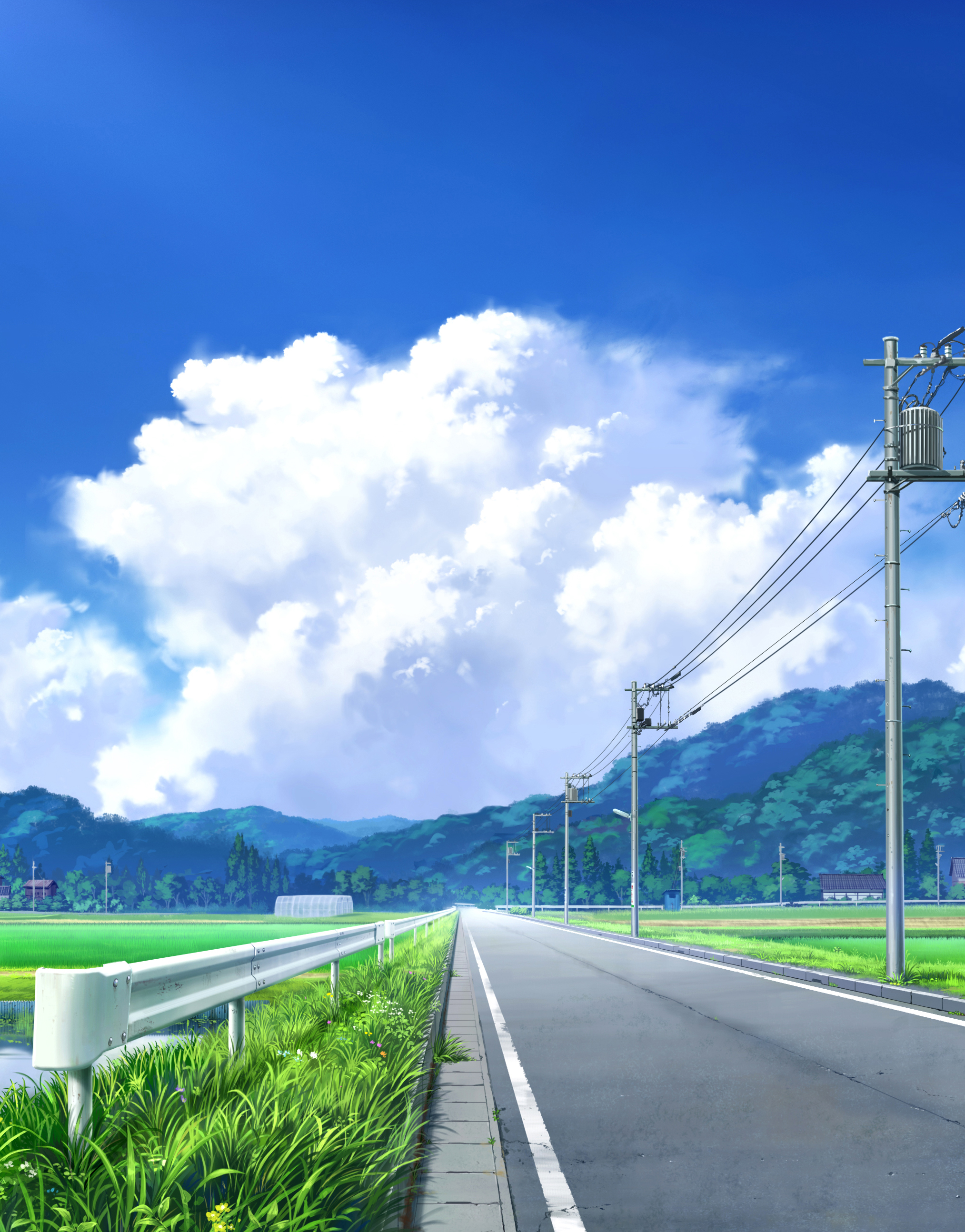 Pei Sumurai Power Lines Portrait Display Utility Pole Road Grass Clouds Sky Flowers Wires Outdoors T 2027x2588