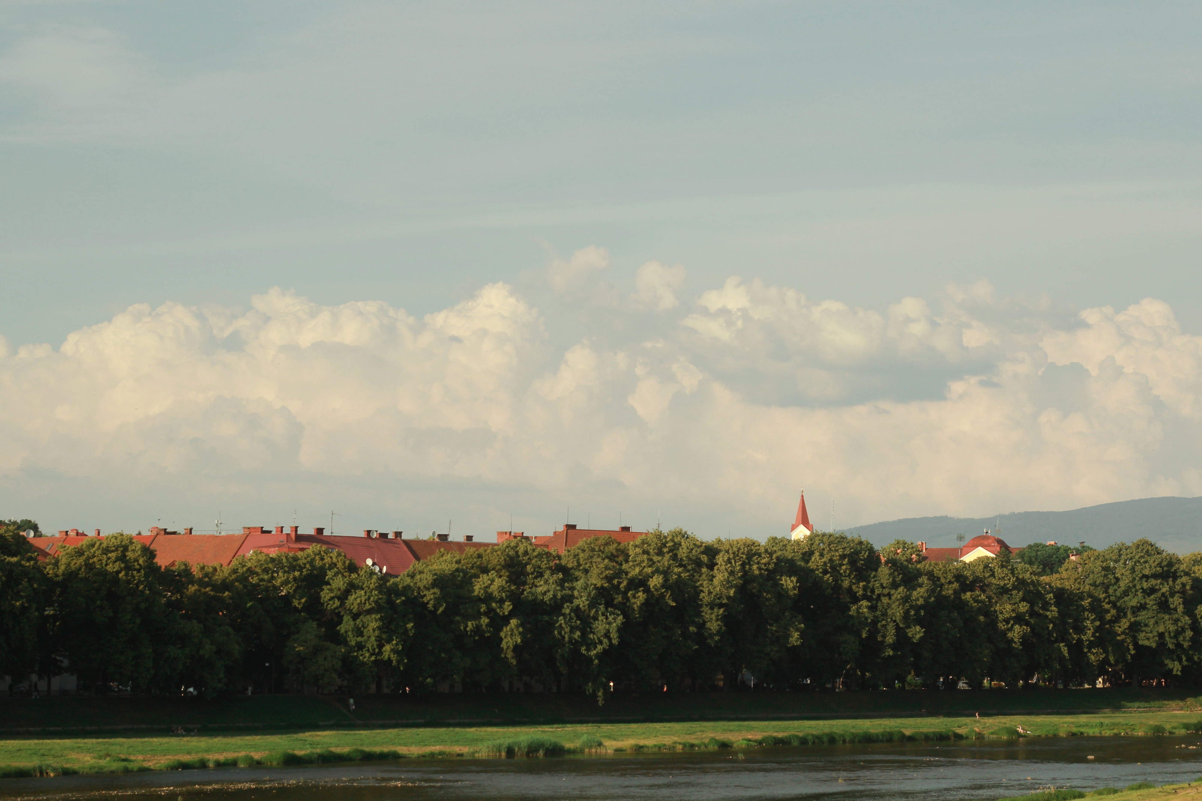 Trees Nature Plants River 4000x2667