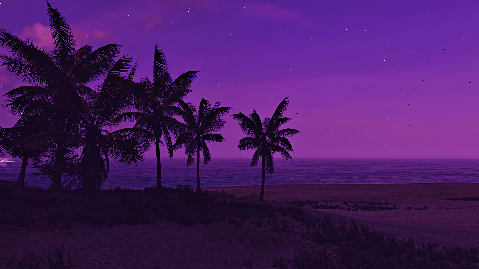 Video Games Forza Forza Horizon 5 Sky Sea Beach Palm Trees Night Purple 1920x1080