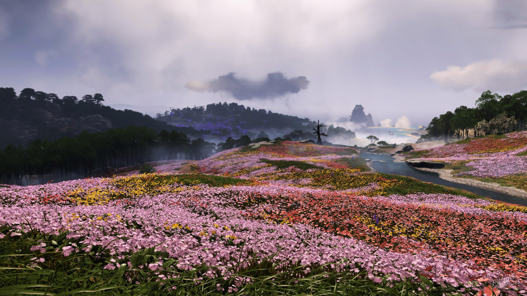 Cwirasek Screen Shot Ultra Graphics PlayStation Playstation 5 Sony Ghost Of Tsushima Landscape Field 2048x1152