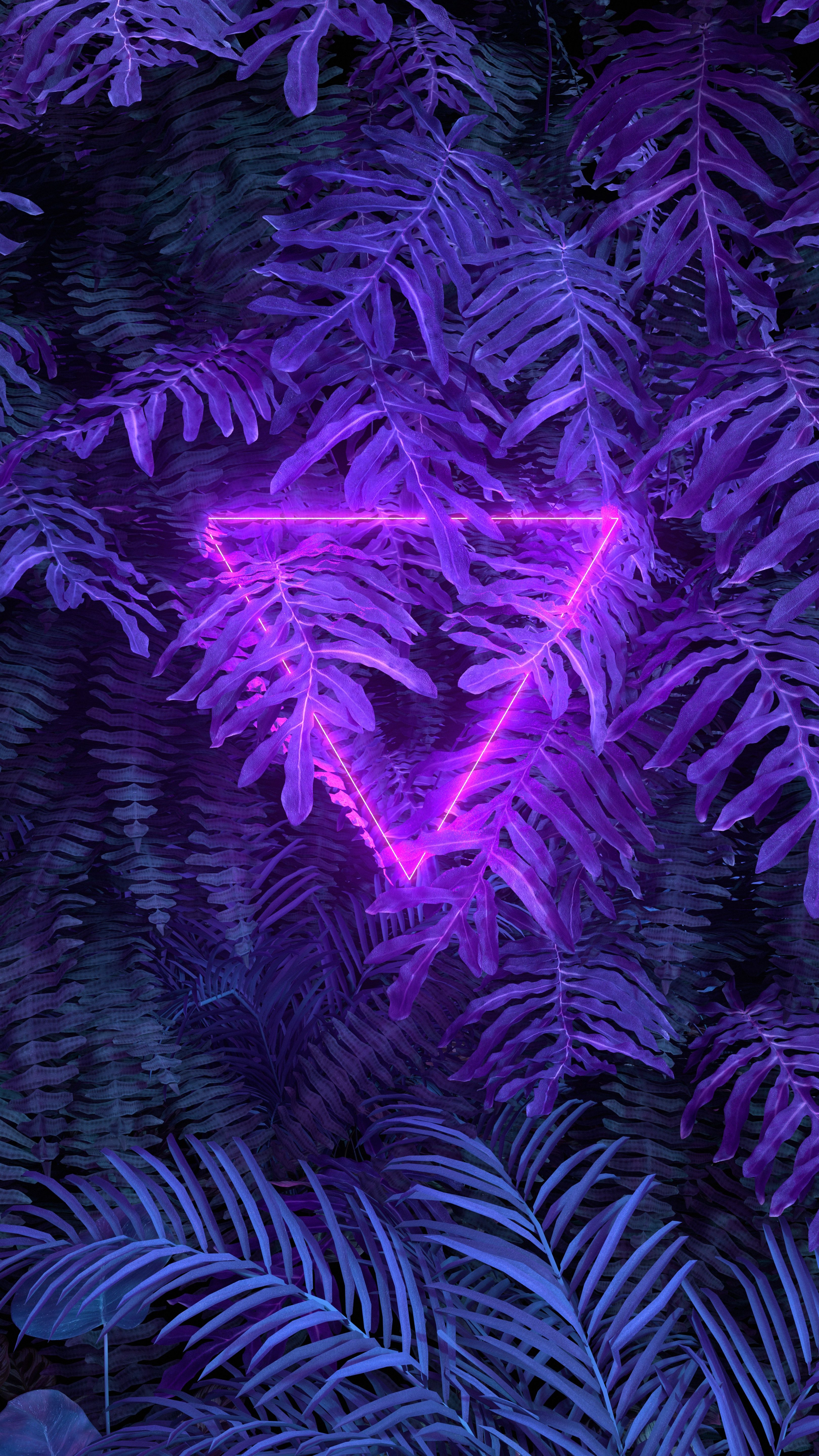 Exotic Leaves Neon Blue Pink Bright Neon Sign Triangle Ferns 3240x5760