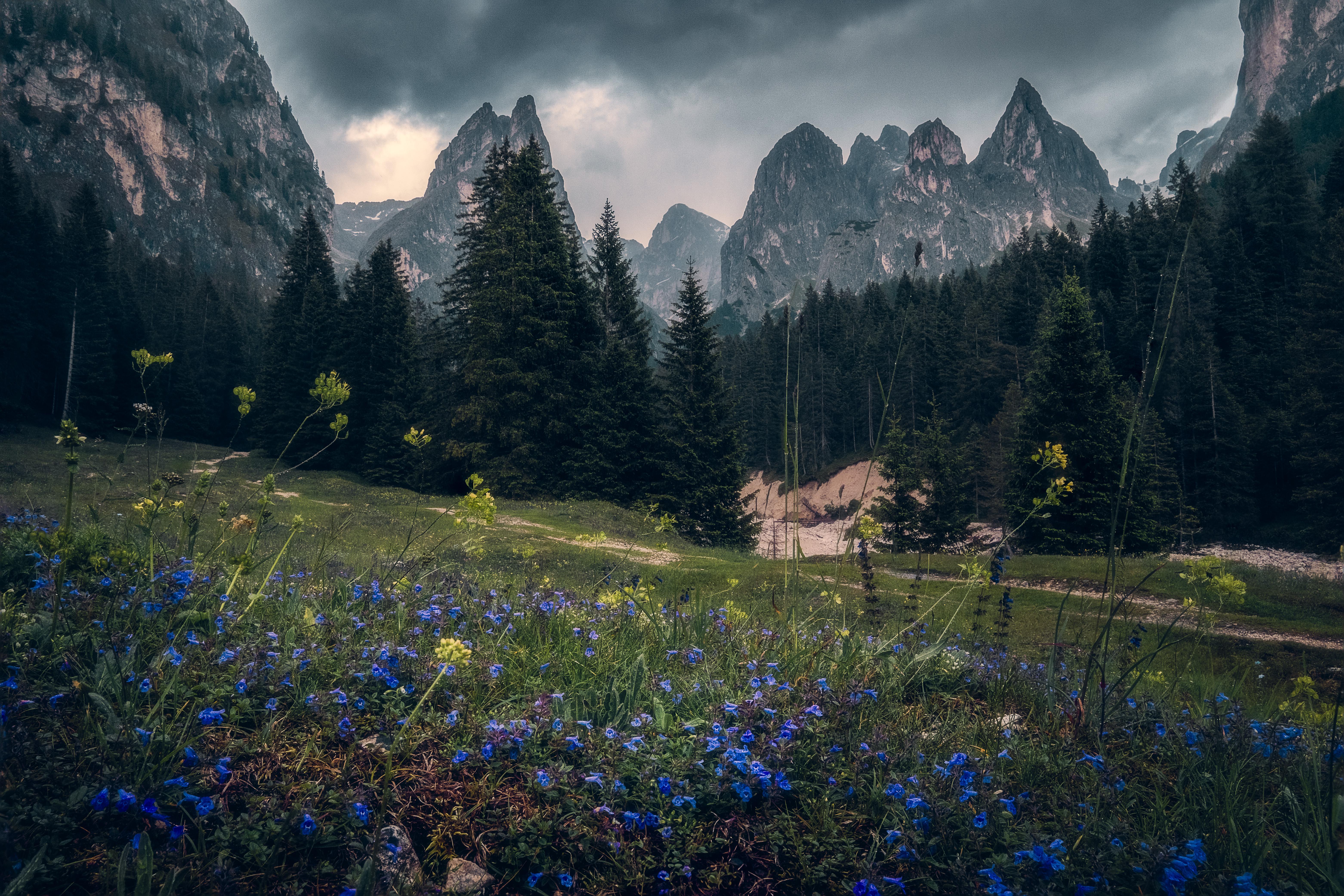 Clouds Valley Nature Landscape Trees Forest Flowers Field Mountains Italy Europe Photography 6247x4165