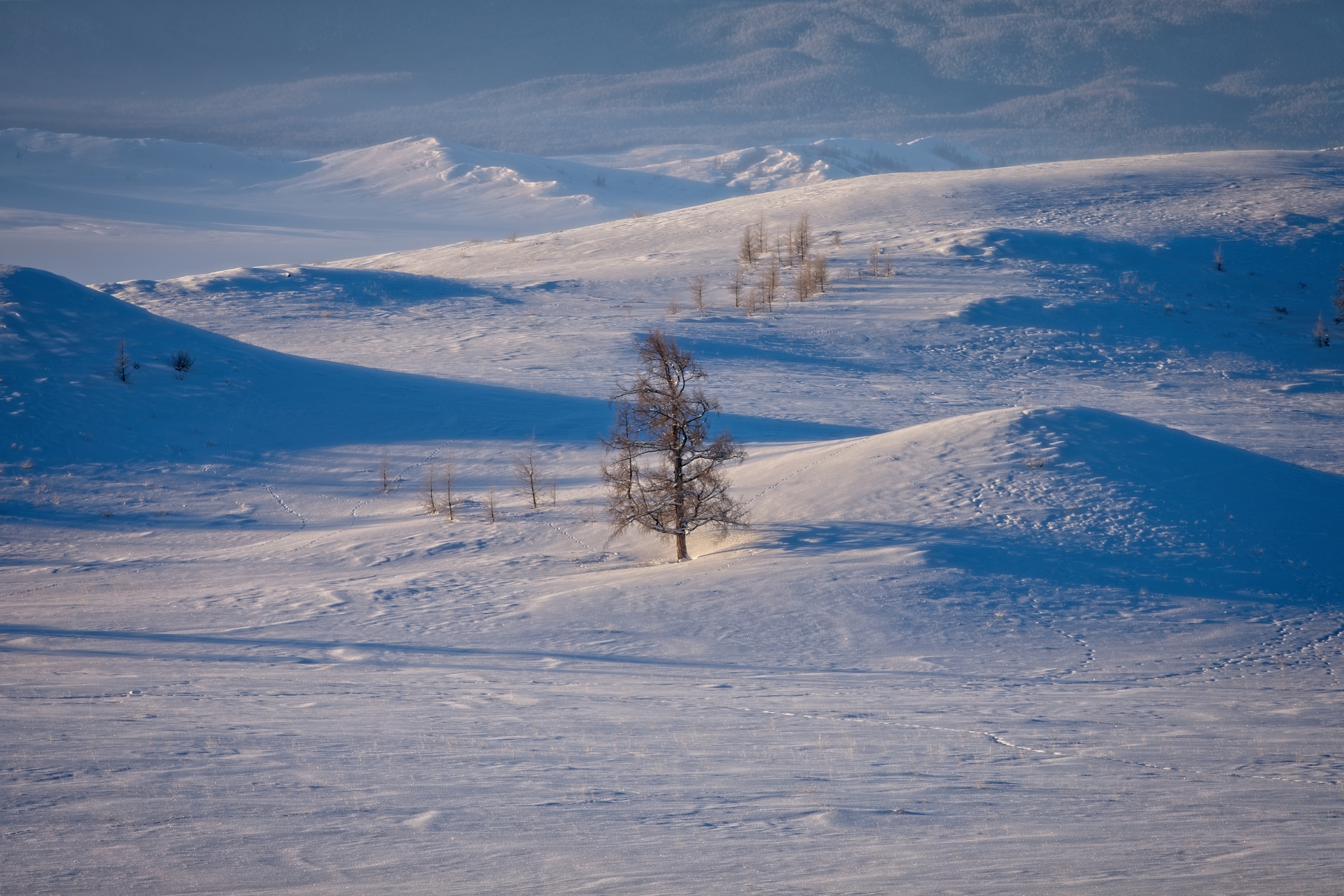 Nature Landscape Snow Winter 3500x2333