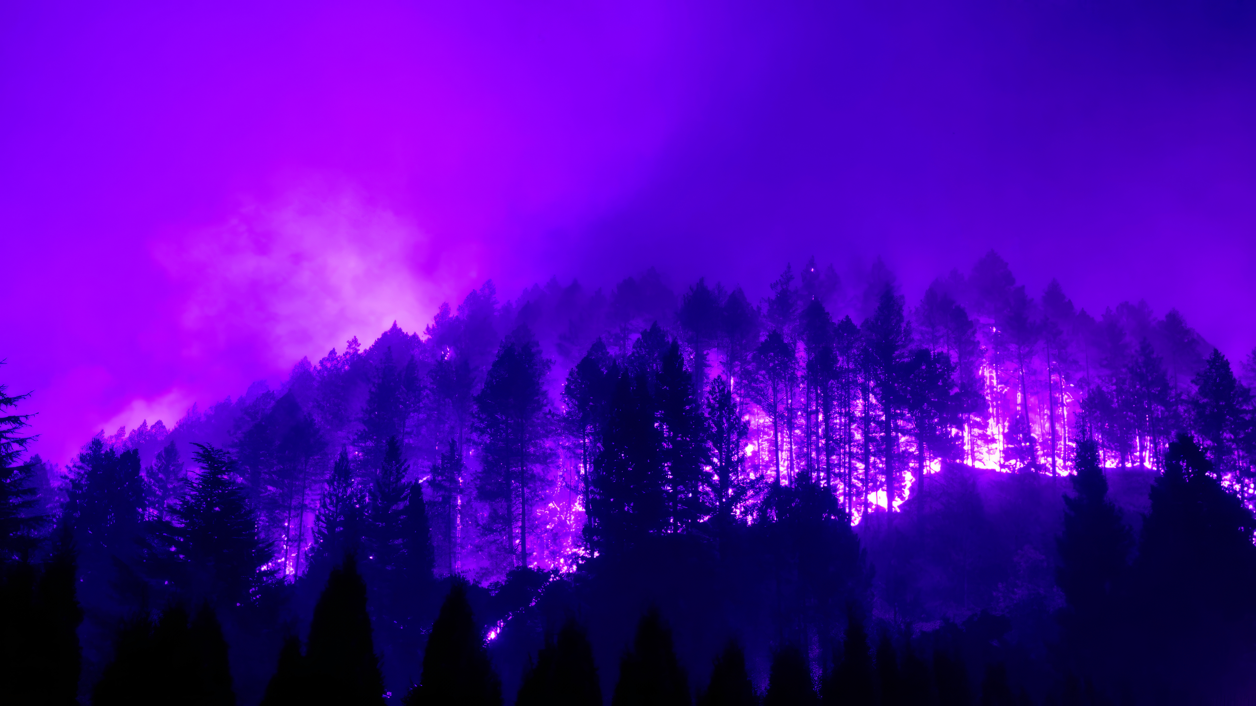 Trees Forest Burning Blue Pink Silhouette Night 5120x2880