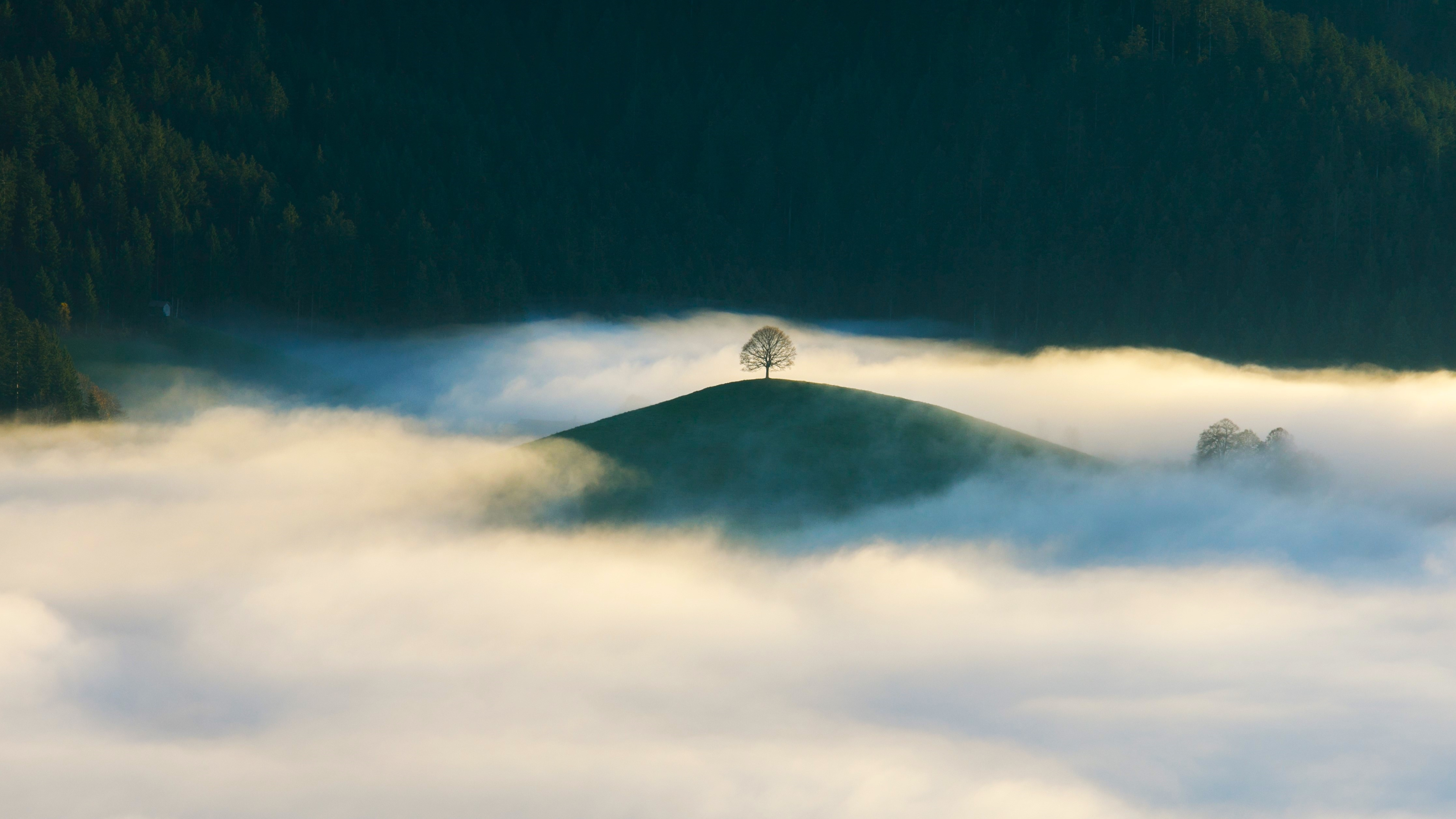 Nature Landscape Trees Forest Hills Clouds Alone Olivier Schopfer Switzerland 3840x2160