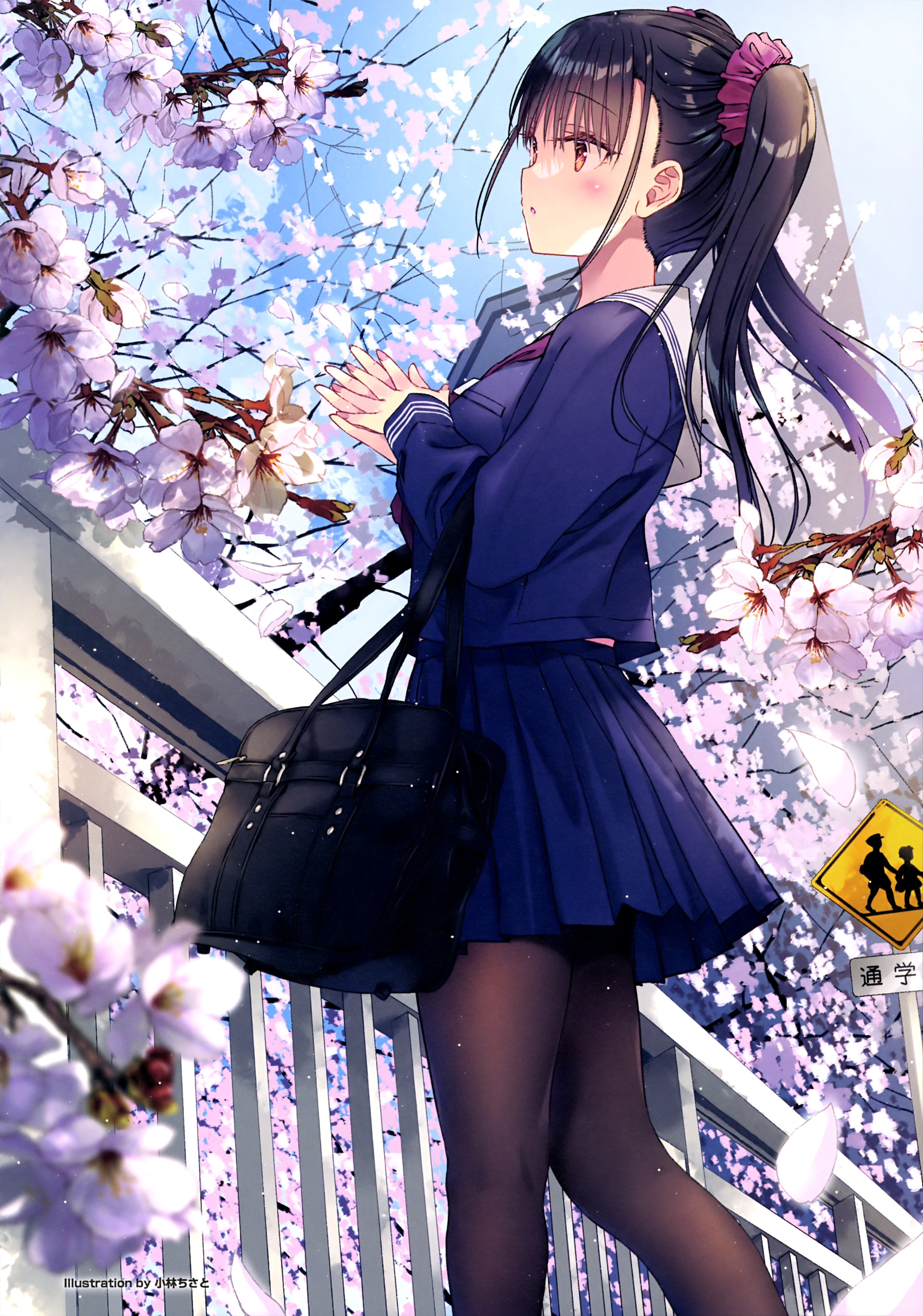 Portrait Display Schoolgirl School Uniform Looking Sideways Profile Twintails Cherry Blossom Women O 2877x4100