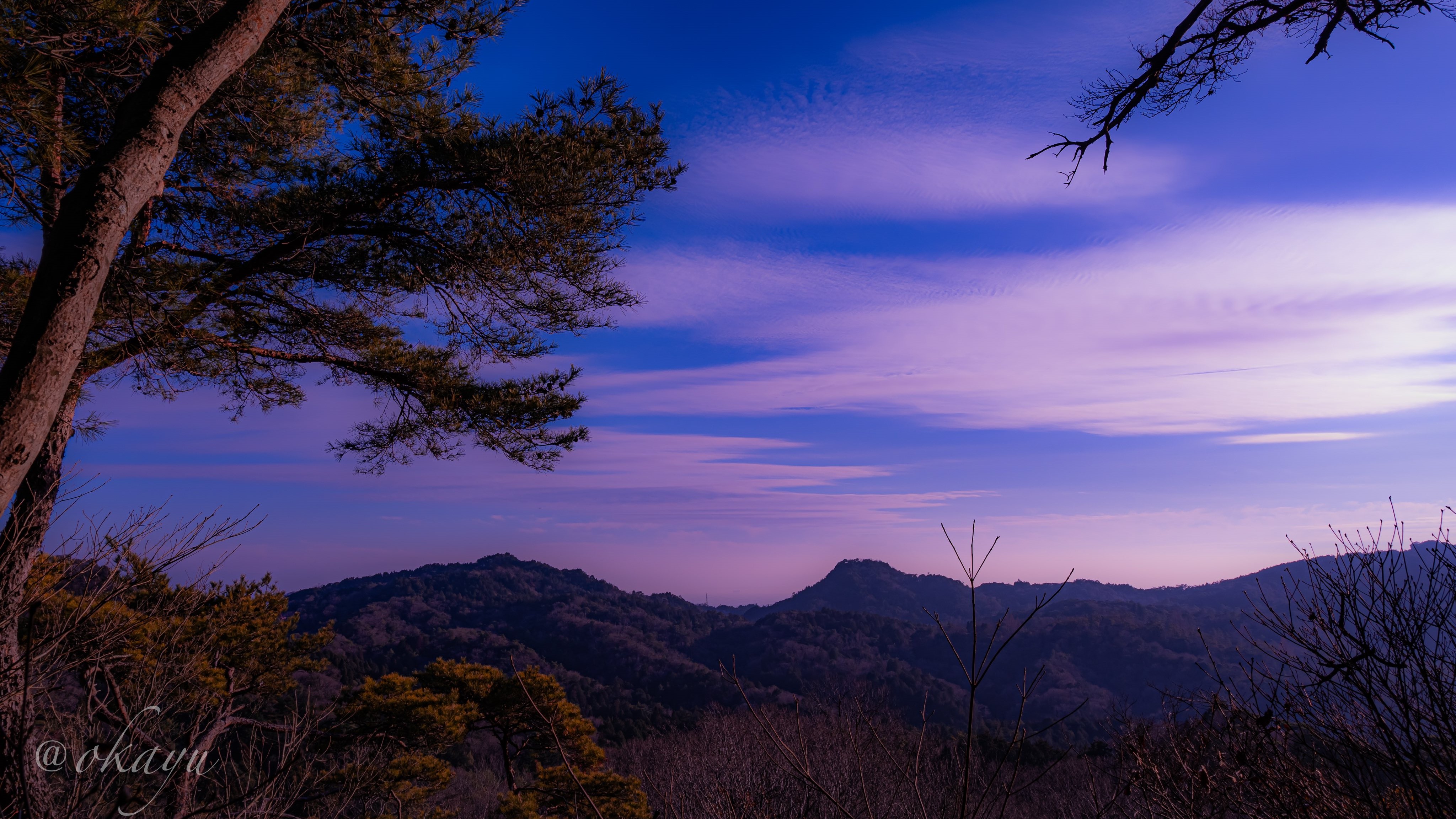 Okayu Photography Nature Trees Watermarked 4096x2304