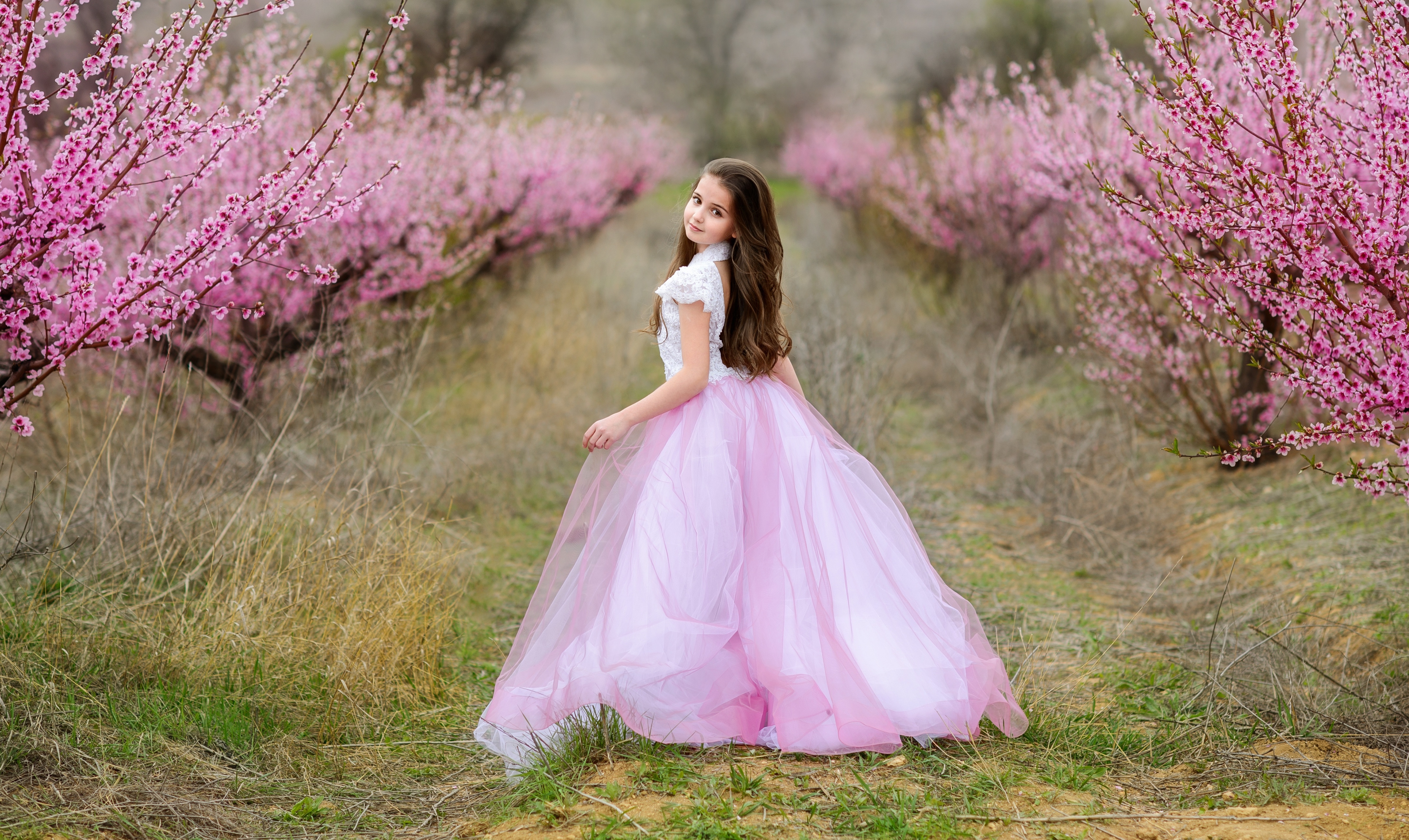 Baby People Outdoors Flowers Cloth Frock Pink Dress 4326x2580