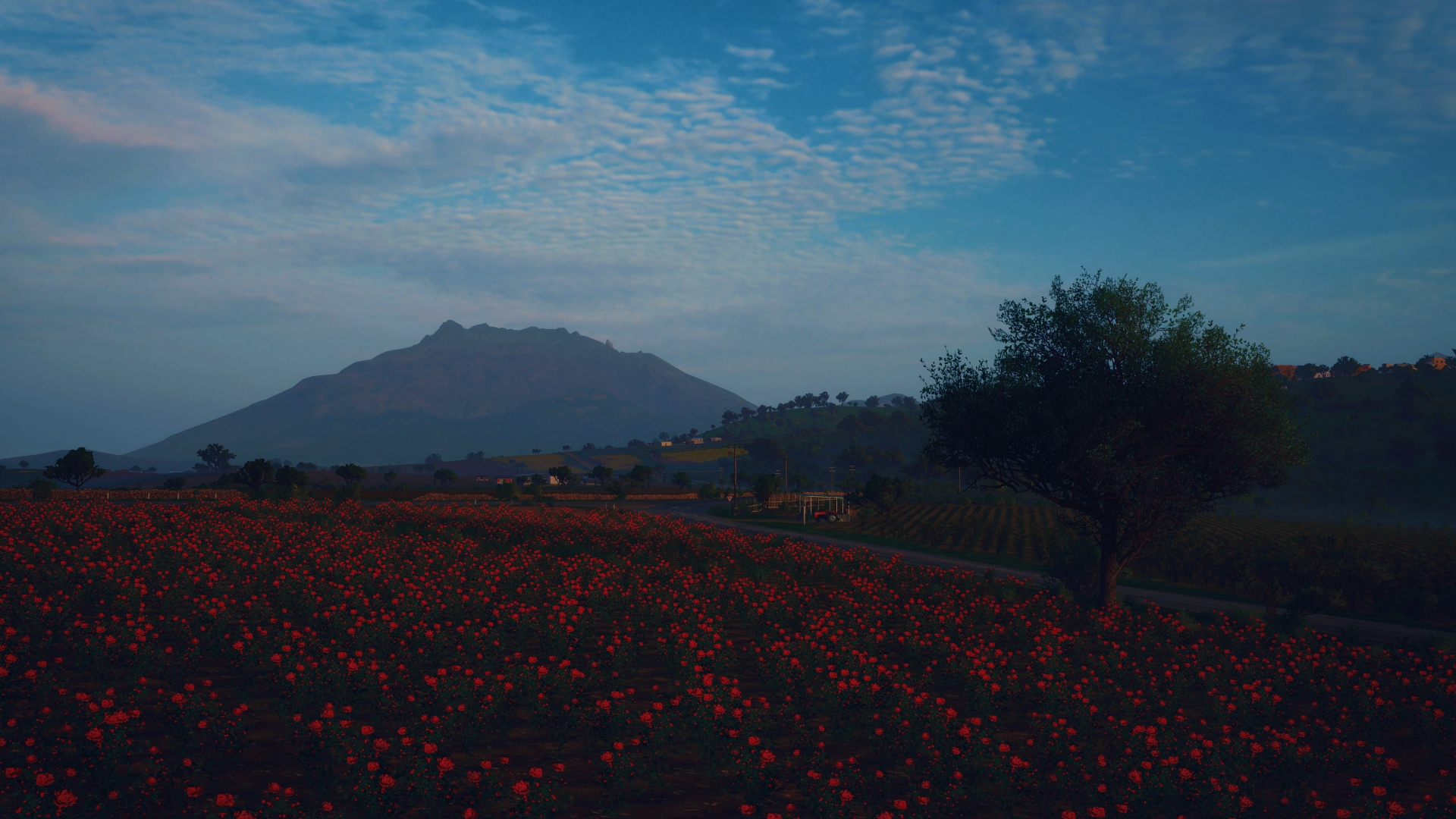 Video Games Forza Forza Horizon 5 Sky Clouds Trees Flowers Red Blue Landscape 1920x1080