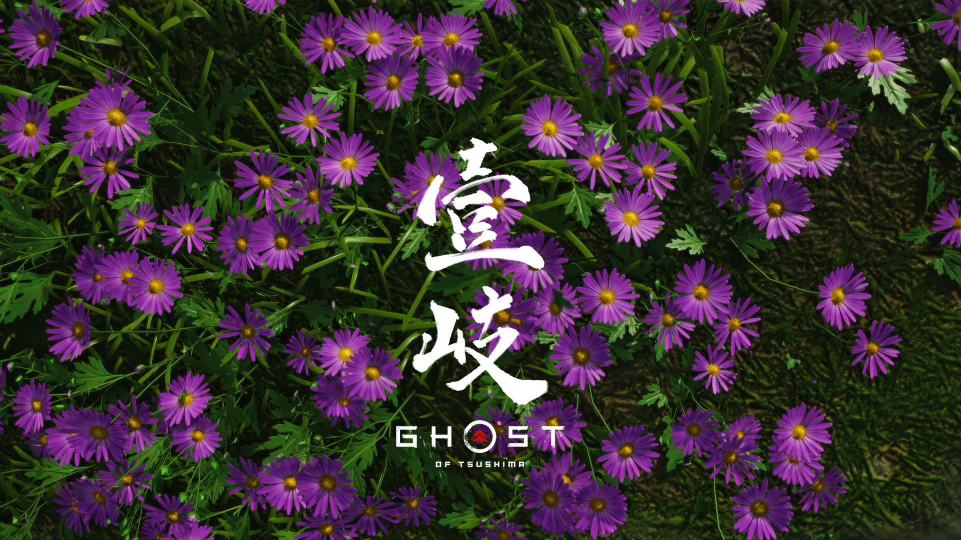 Ghost Of Tsushima Flowers Violet Color Video Games Nature Jin Sakai 1920x1080