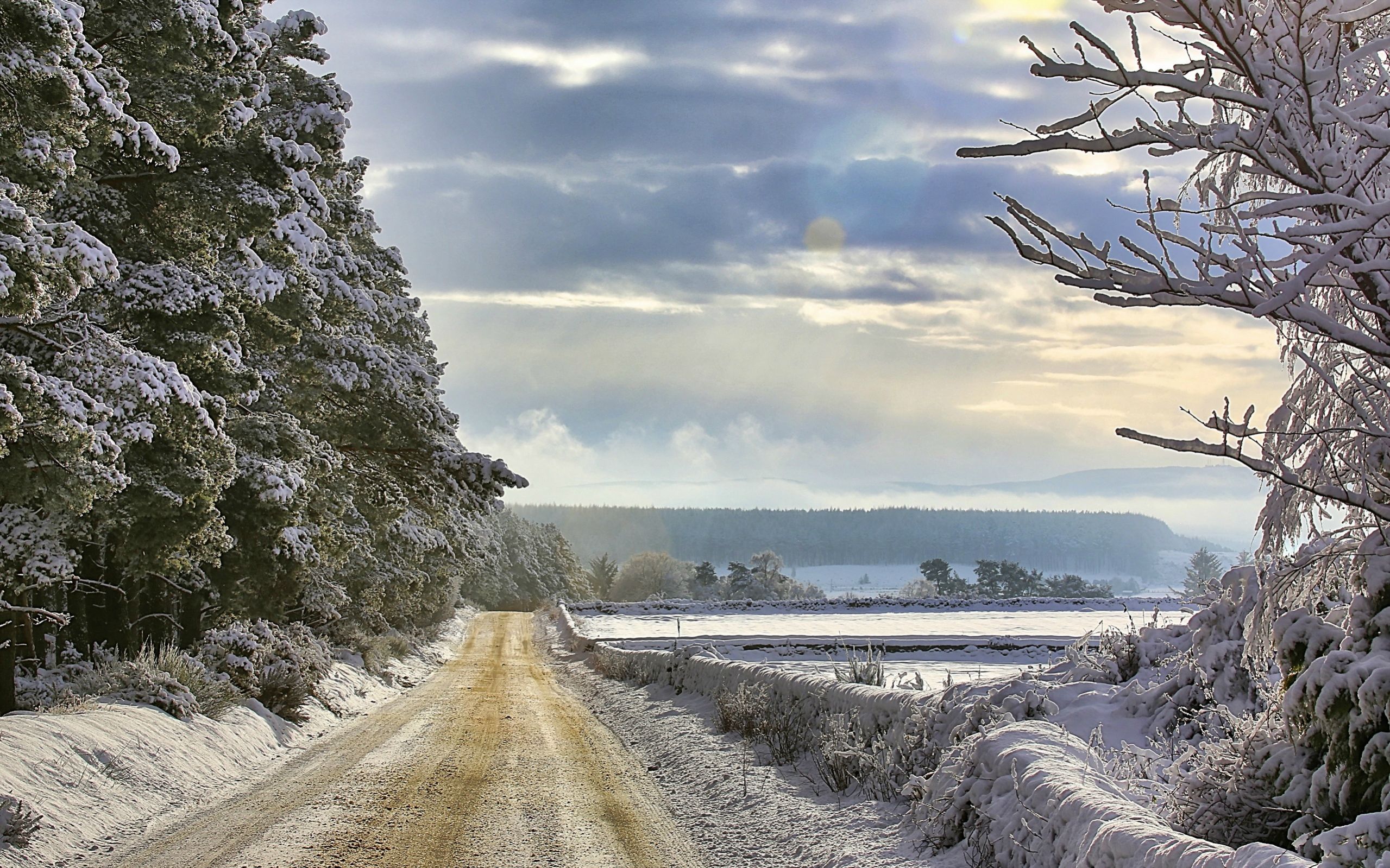 Road Landscape Snow Winter 2559x1599