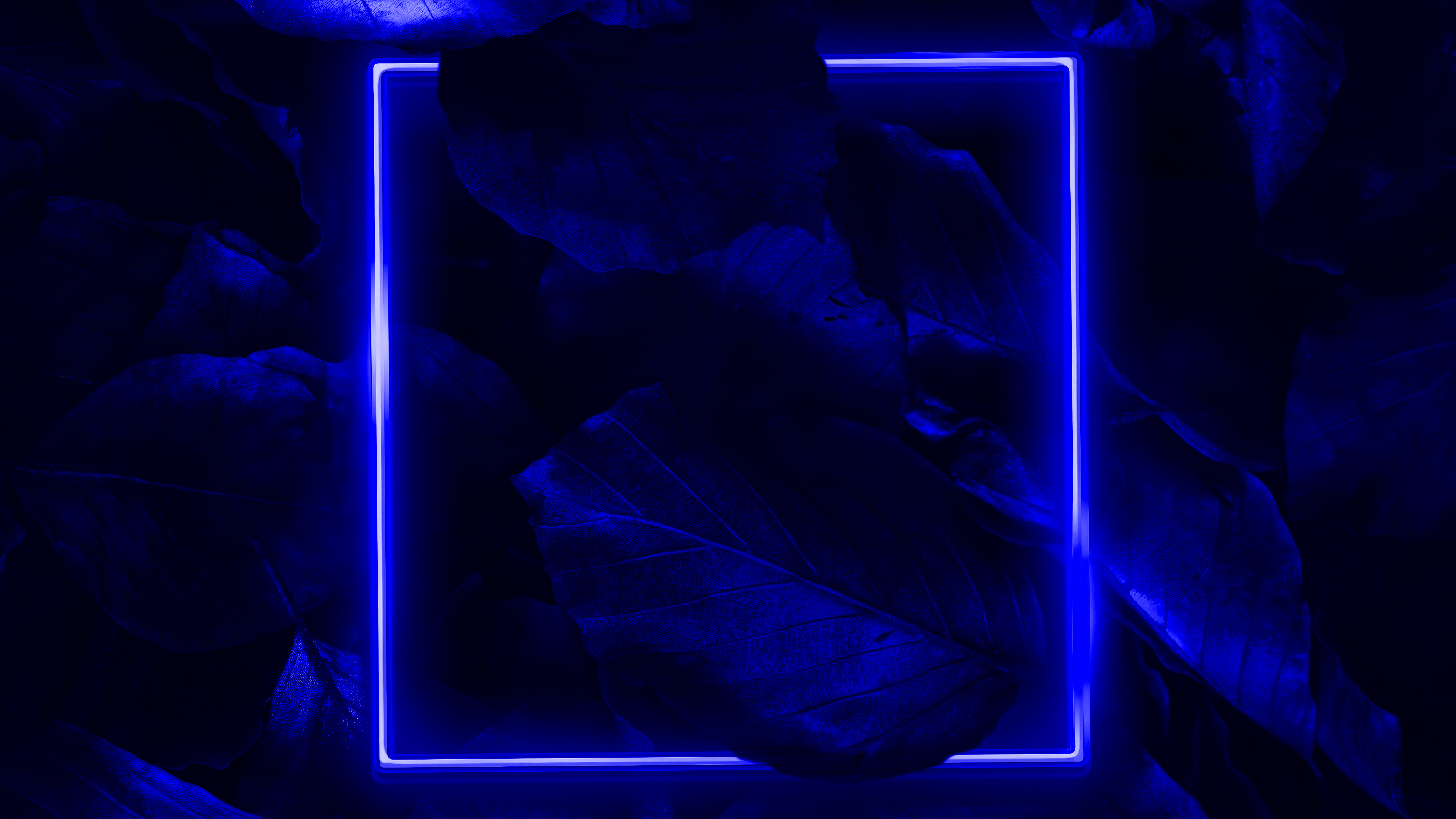 Square Blue Neon Leaves 5120x2880