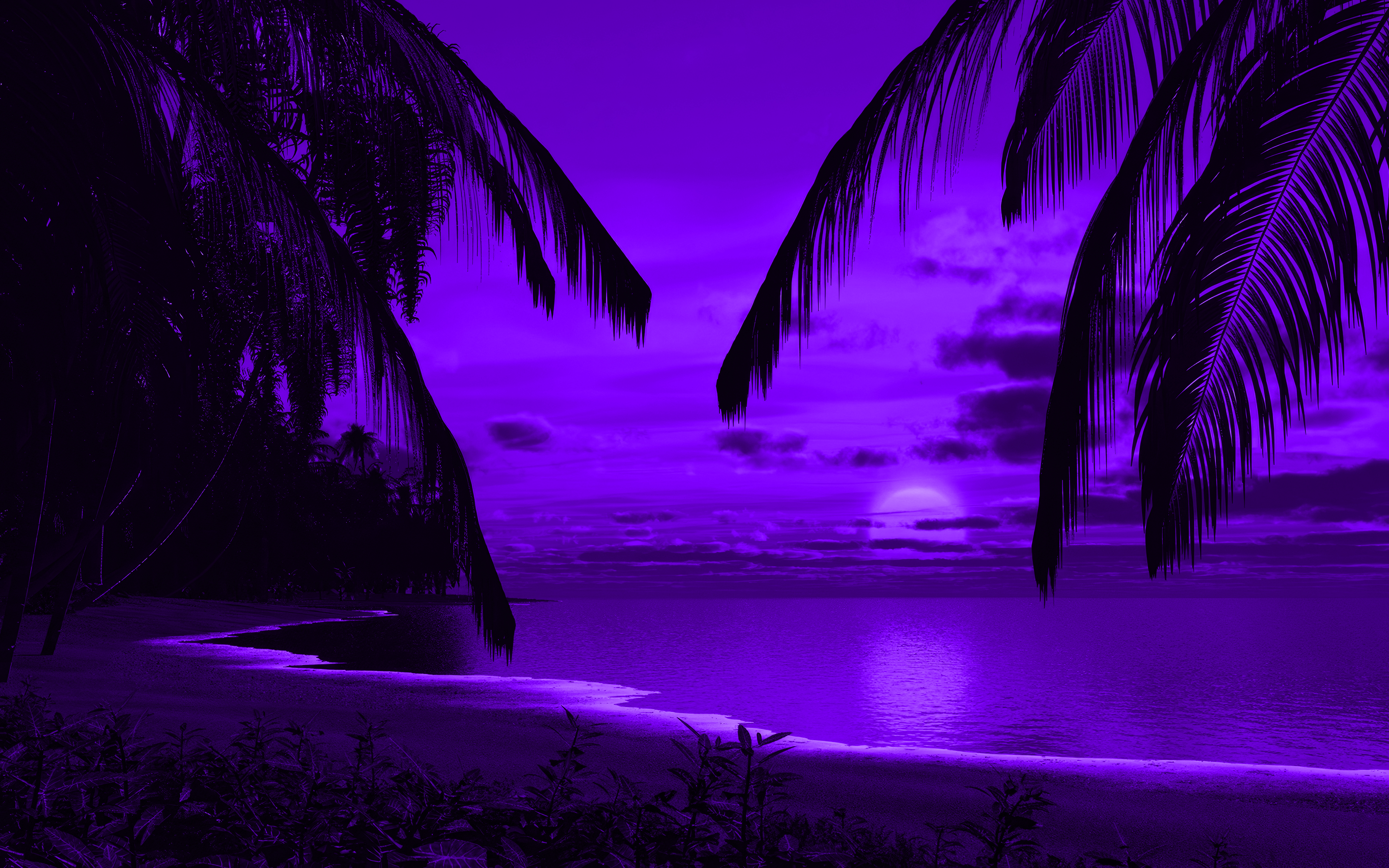 Beach Palm Trees Leaves Night Ocean View Purple Pink Dark 5040x3150