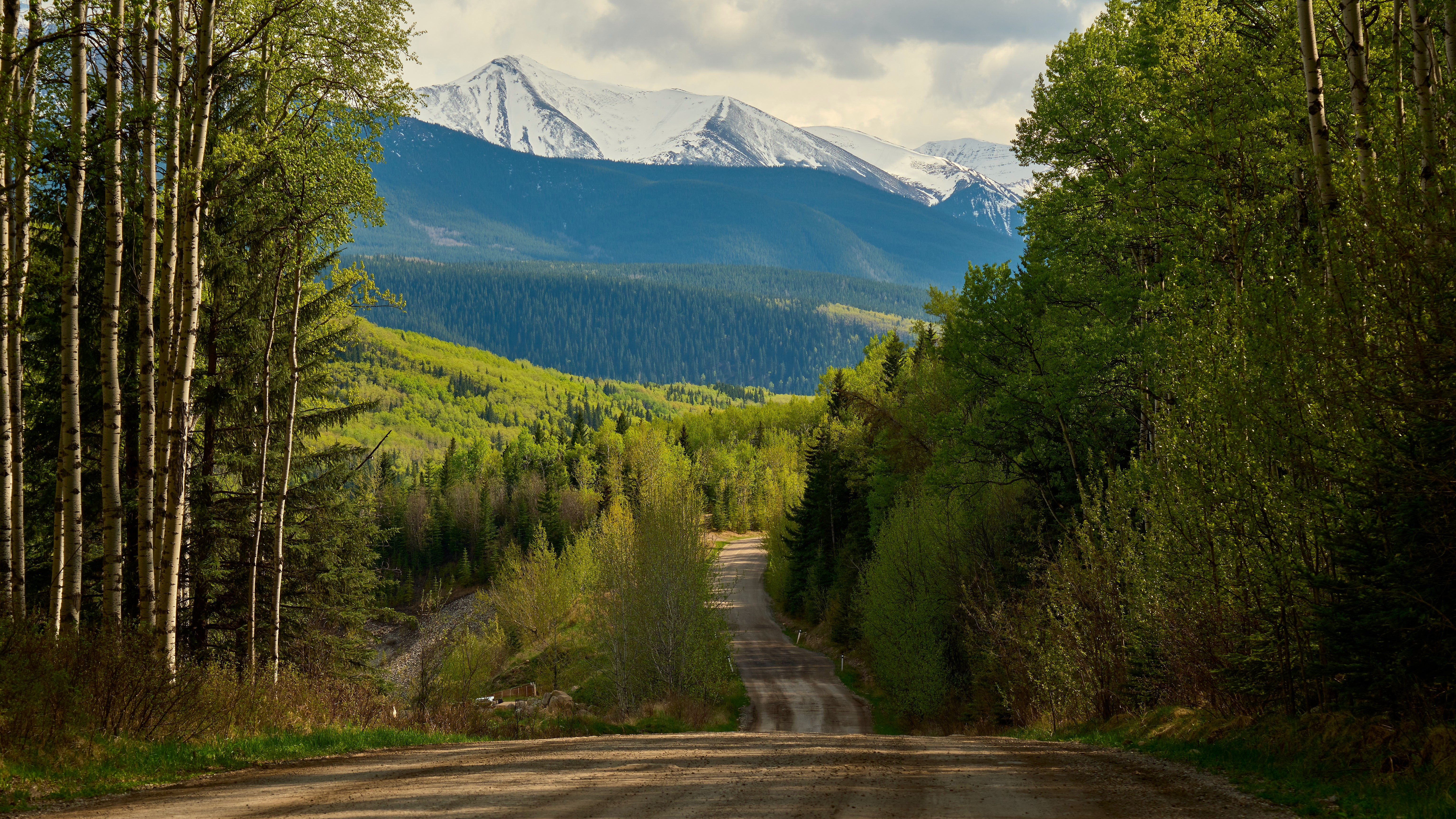 Nature Landscape Trees Plants Road Mountains Clouds Forest Alberta Canada Patrick Kelly 6144x3456